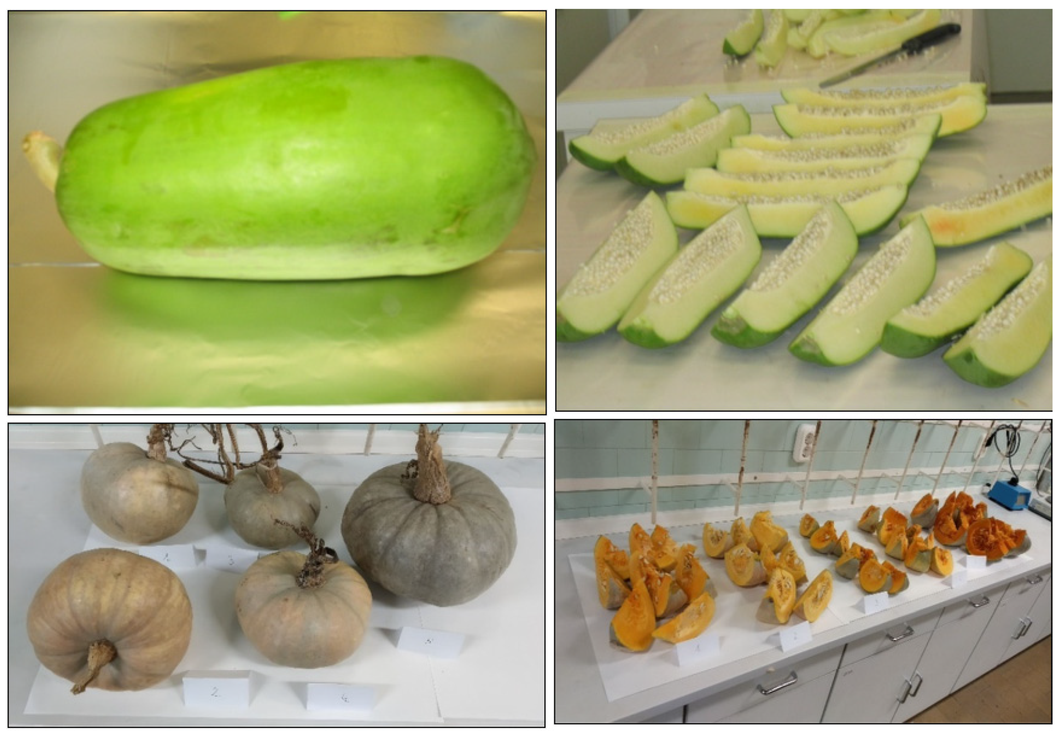 Molecules 28 00954 g004 Molecules 28 00954 g004