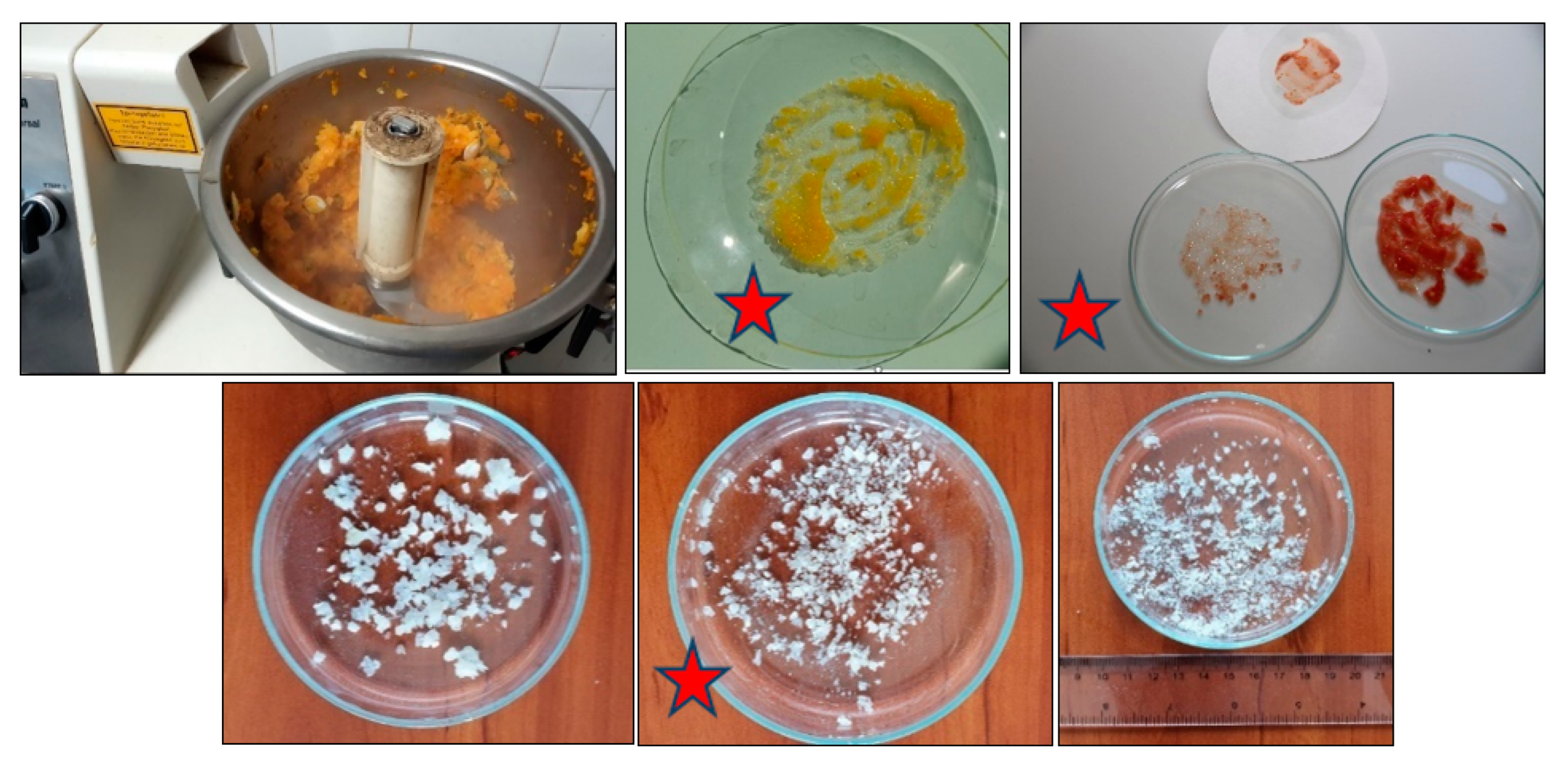 Molecules 28 00954 g005 Molecules 28 00954 g005