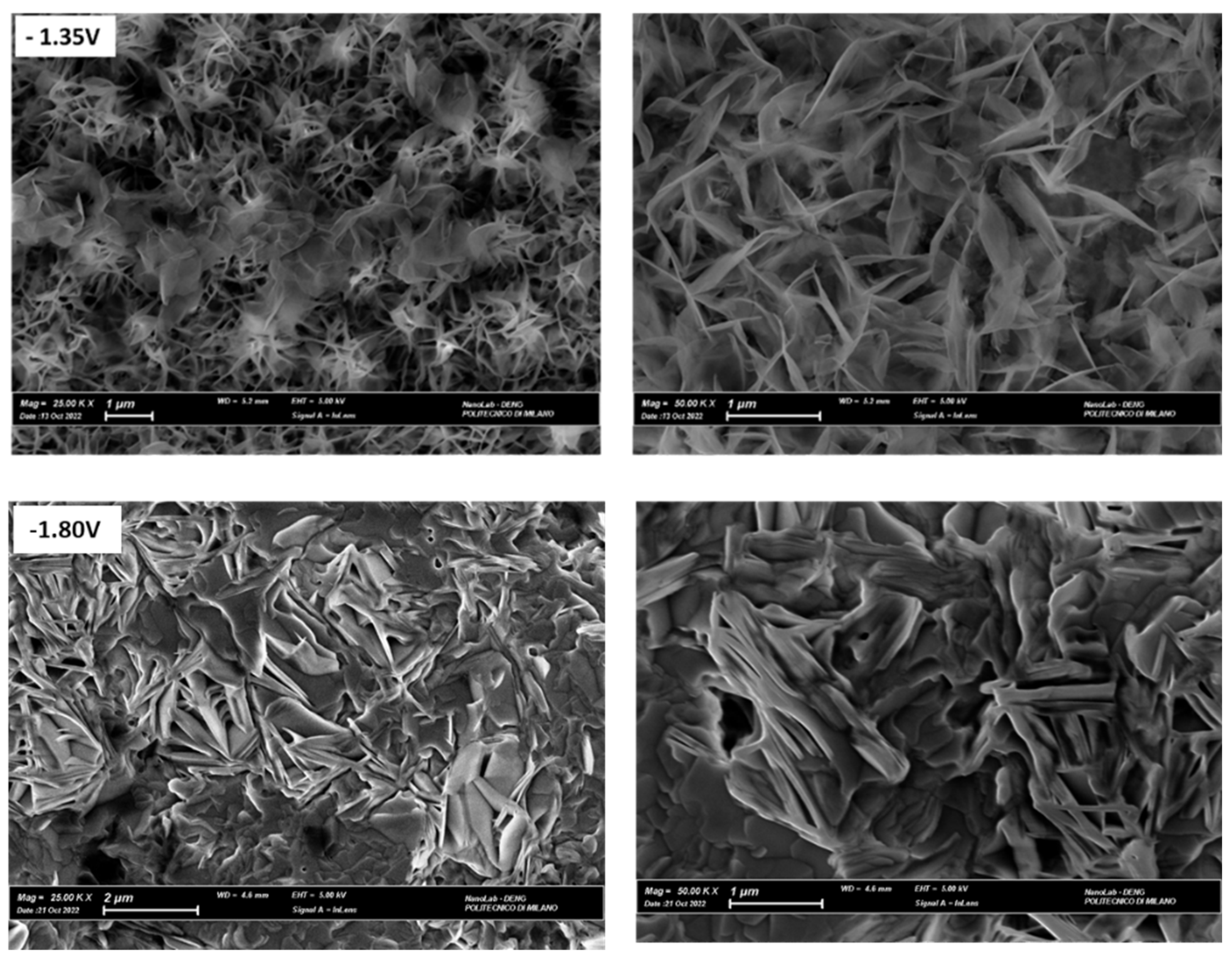 Molecules 28 00957 g011 Molecules 28 00957 g011