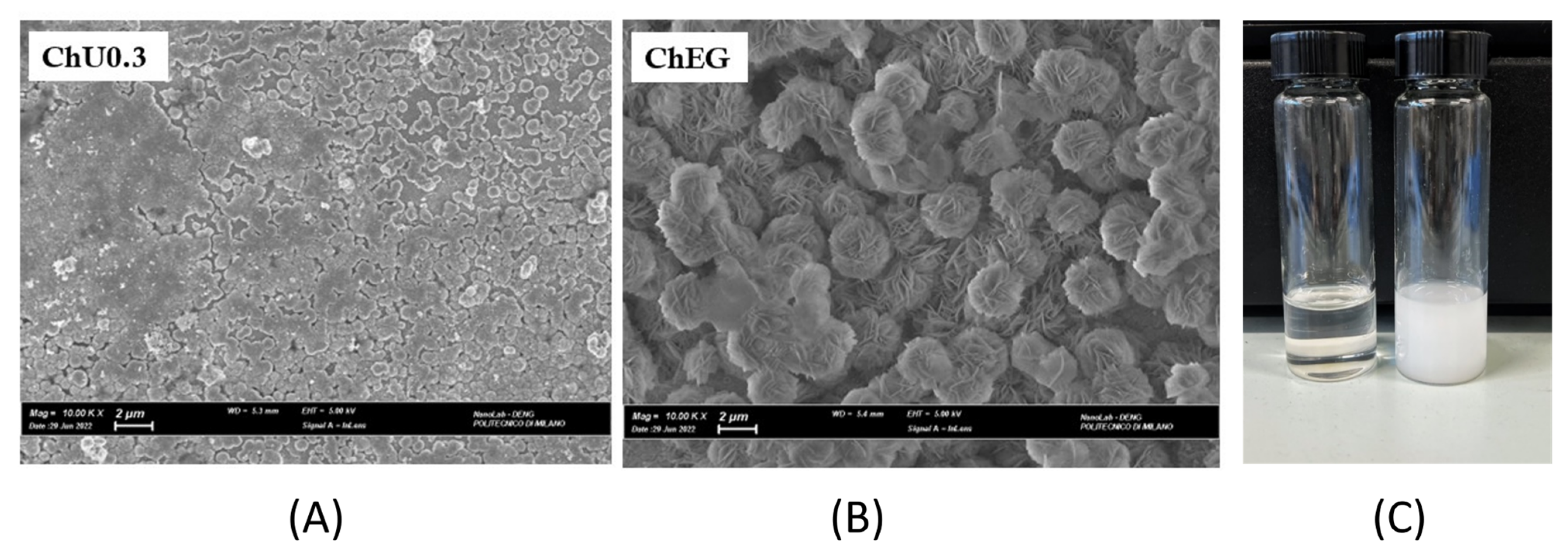 Molecules 28 00957 g014 Molecules 28 00957 g014