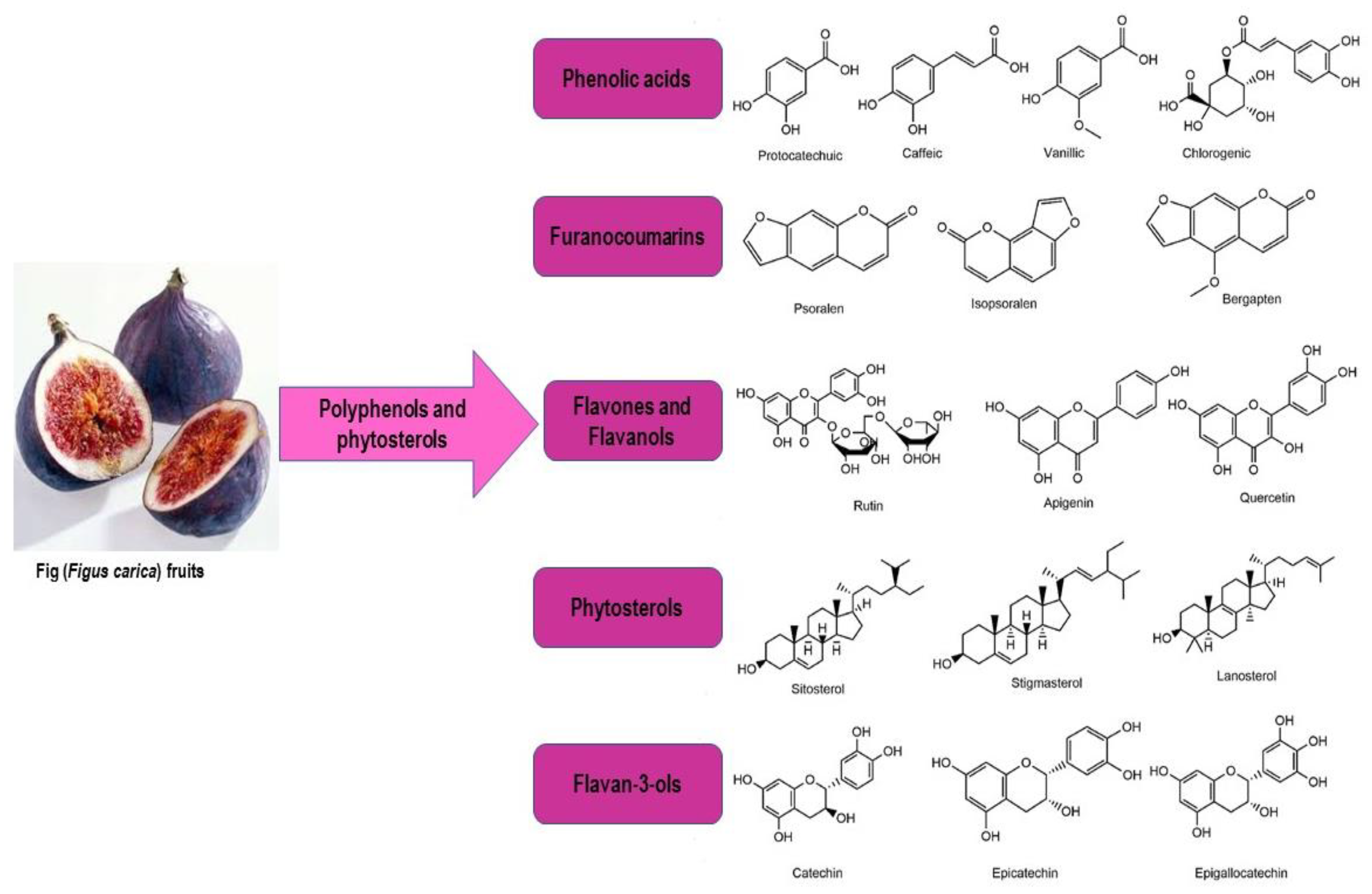Molecules 28 00960 g003