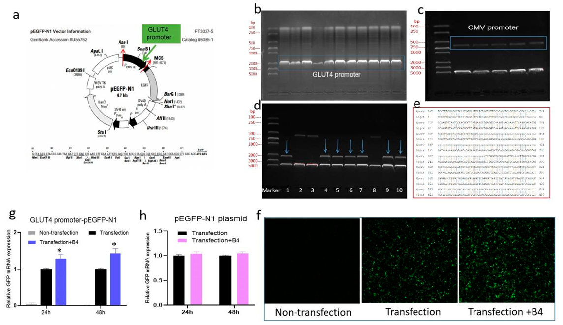 Molecules 28 00968 g007 Molecules 28 00968 g007