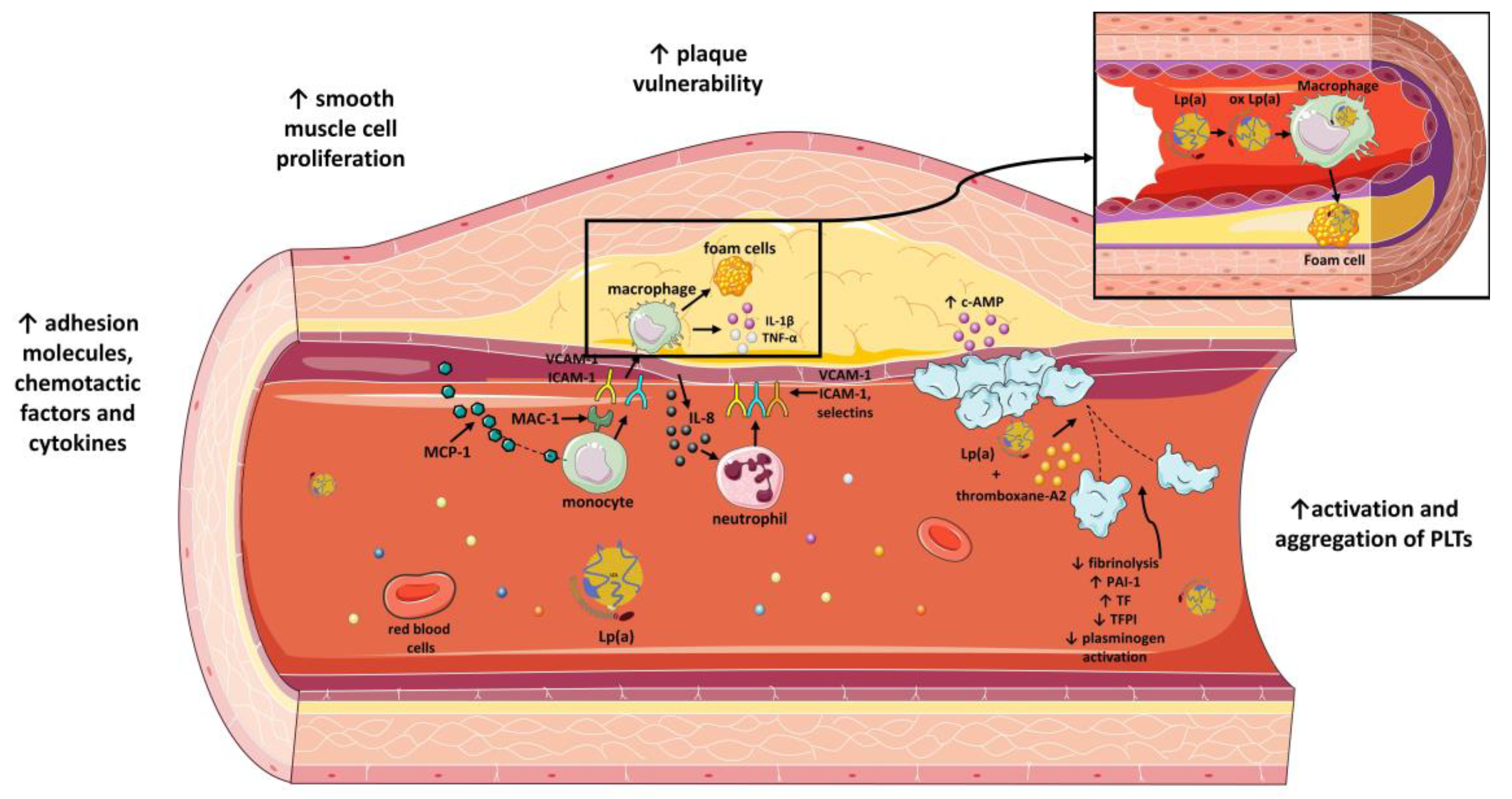 Molecules 28 00969 g003 Molecules 28 00969 g003