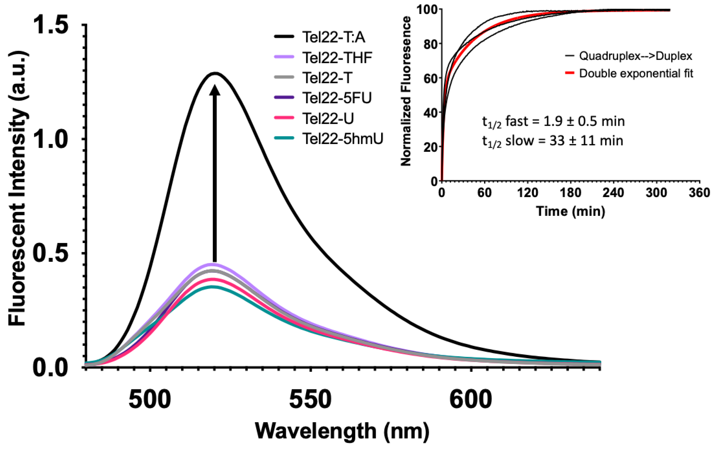 Molecules 28 00970 g004 Molecules 28 00970 g004