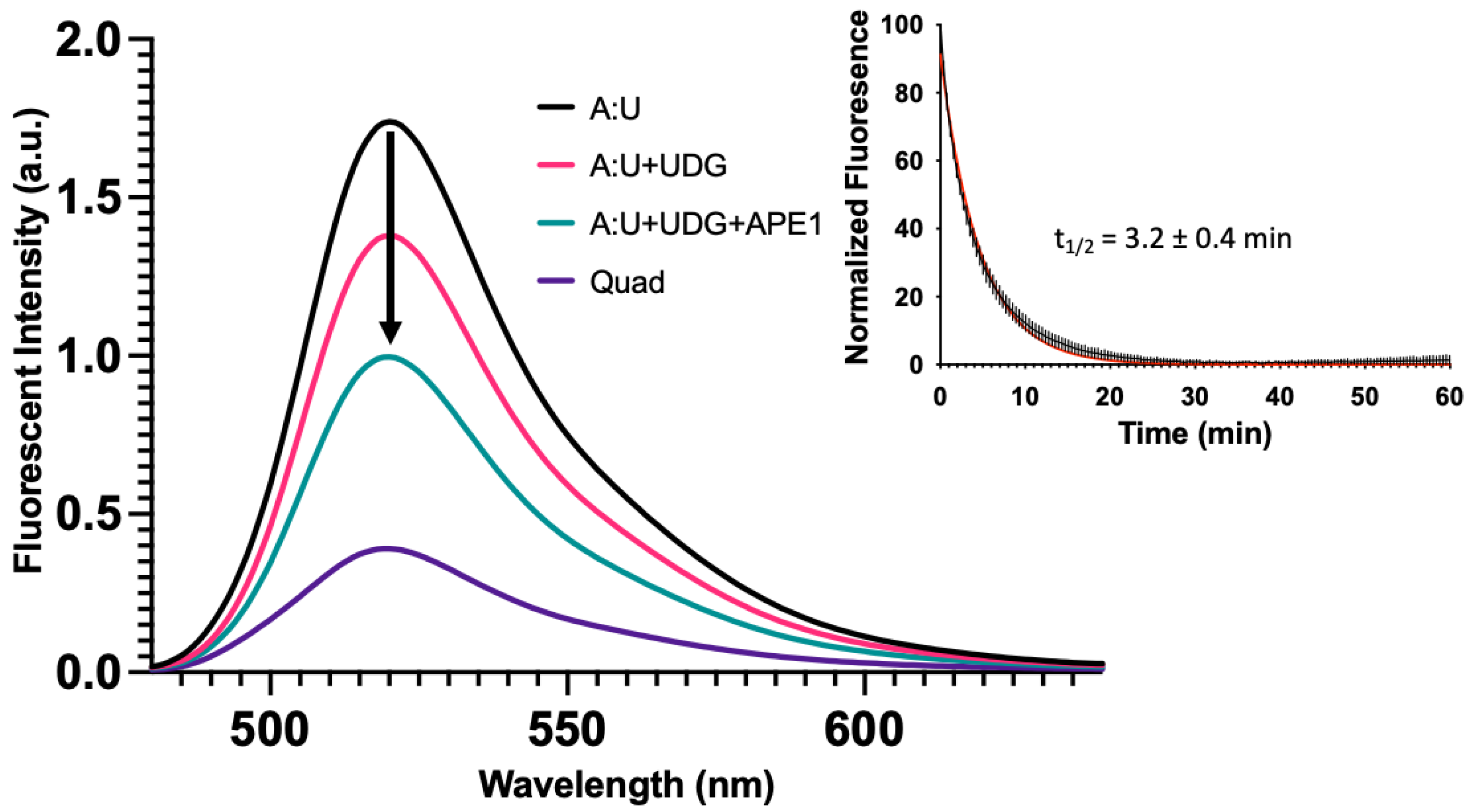 Molecules 28 00970 g006 Molecules 28 00970 g006