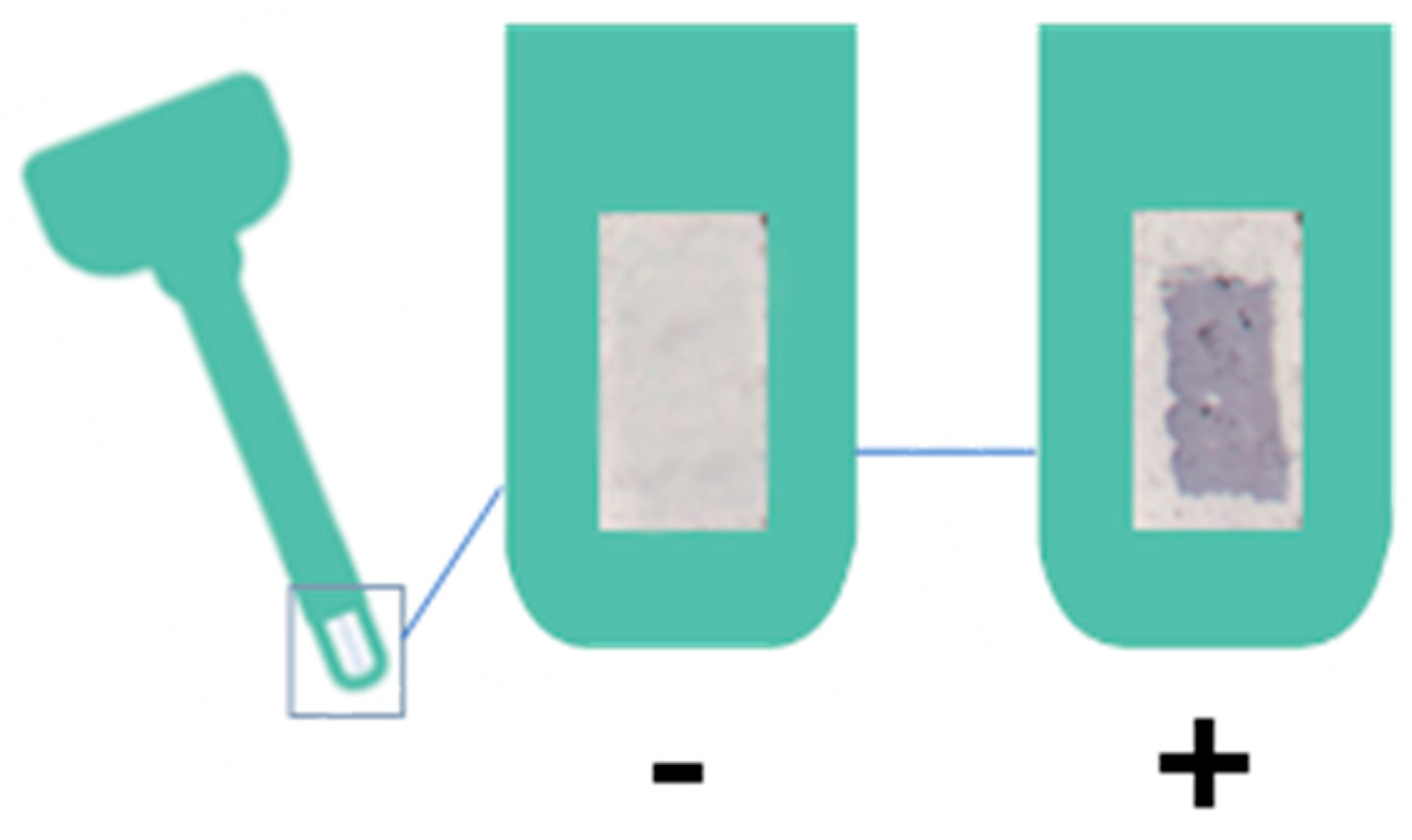 Molecules 28 00980 g007 Molecules 28 00980 g007