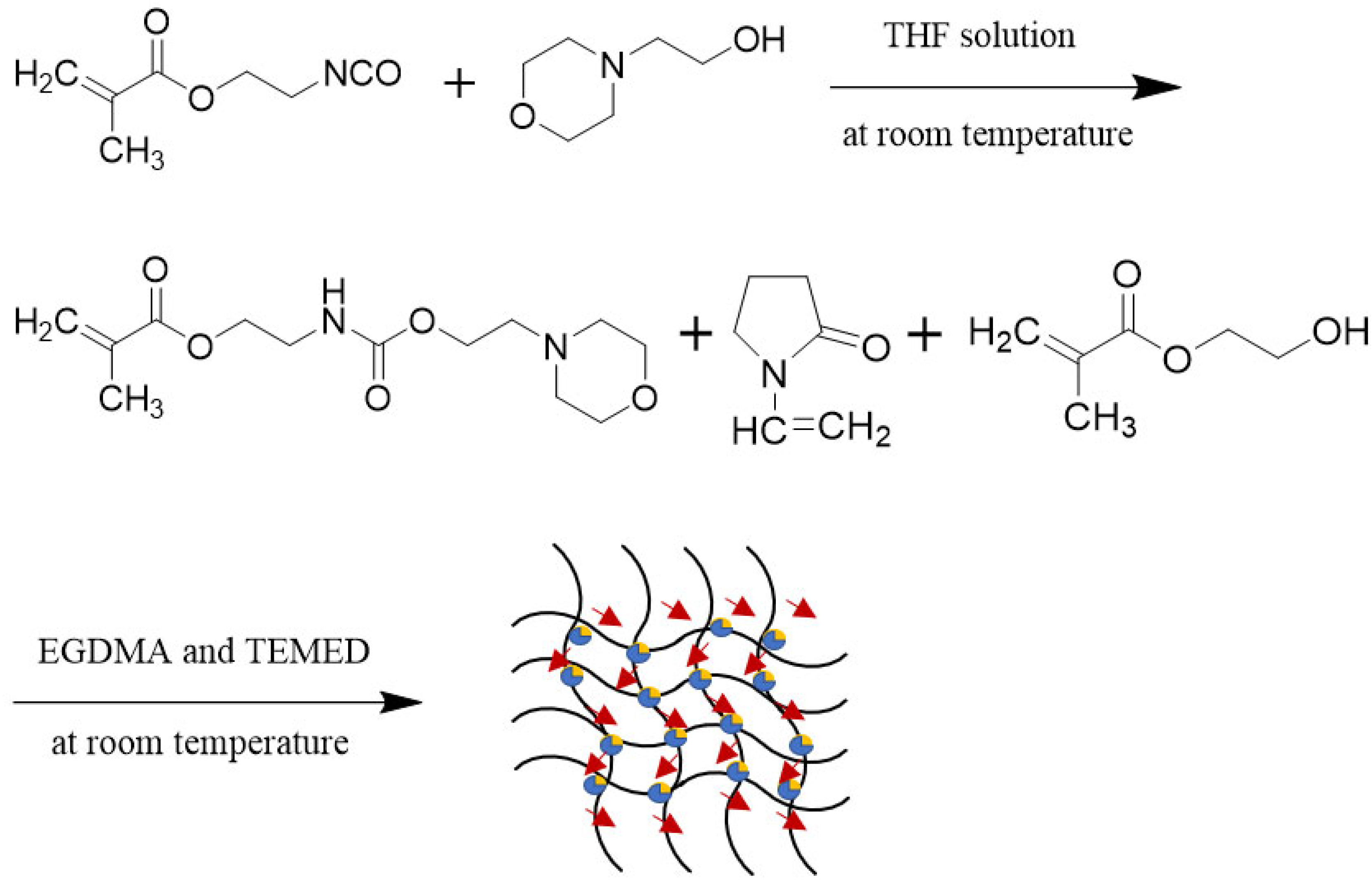 Molecules | Free Full-Text | Hydrogel of HEMA, NVP, and Morpholine ...