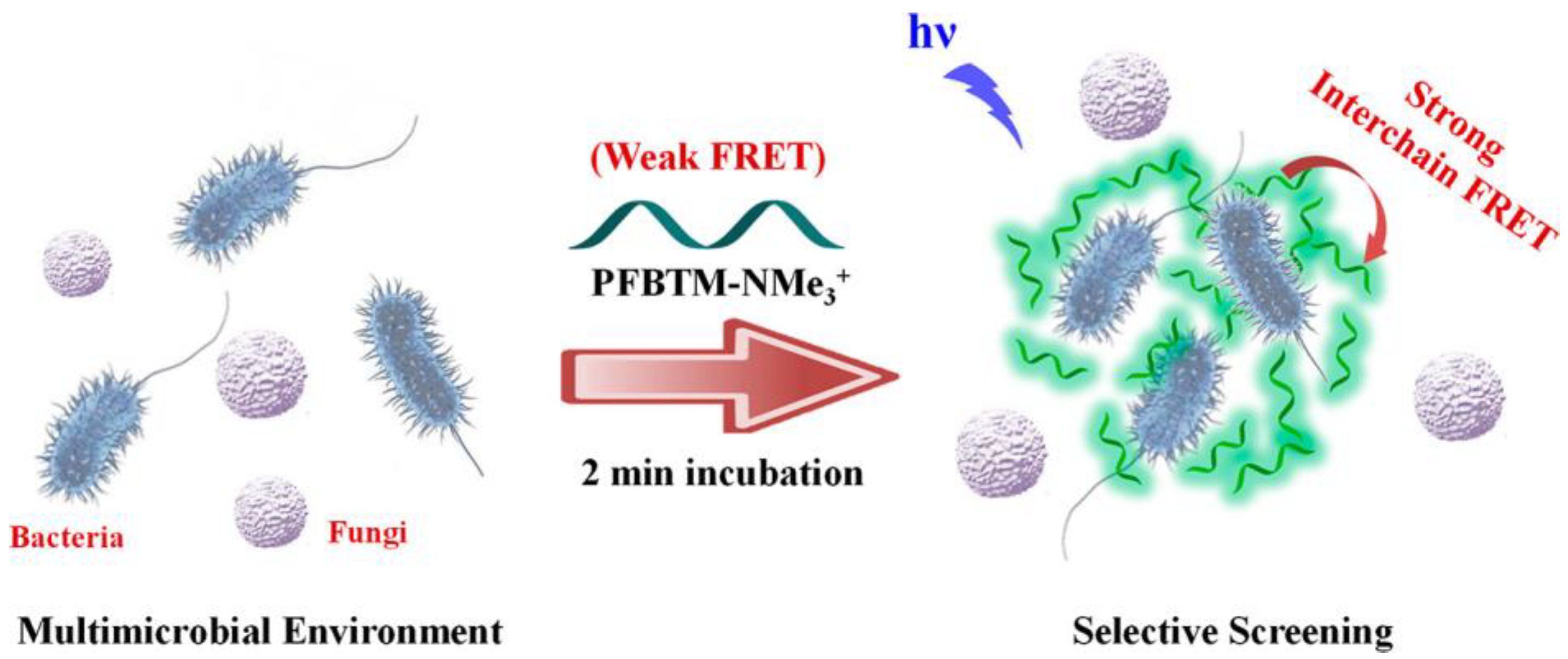 Molecules 28 00985 g001 Molecules 28 00985 g001