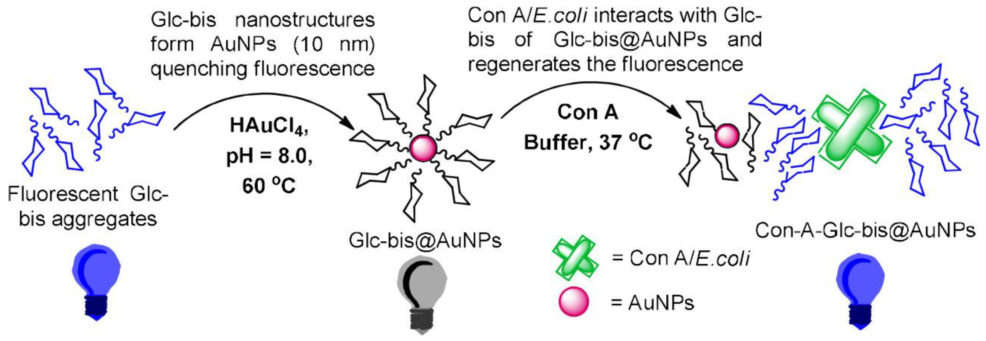 Molecules 28 00985 g002 Molecules 28 00985 g002