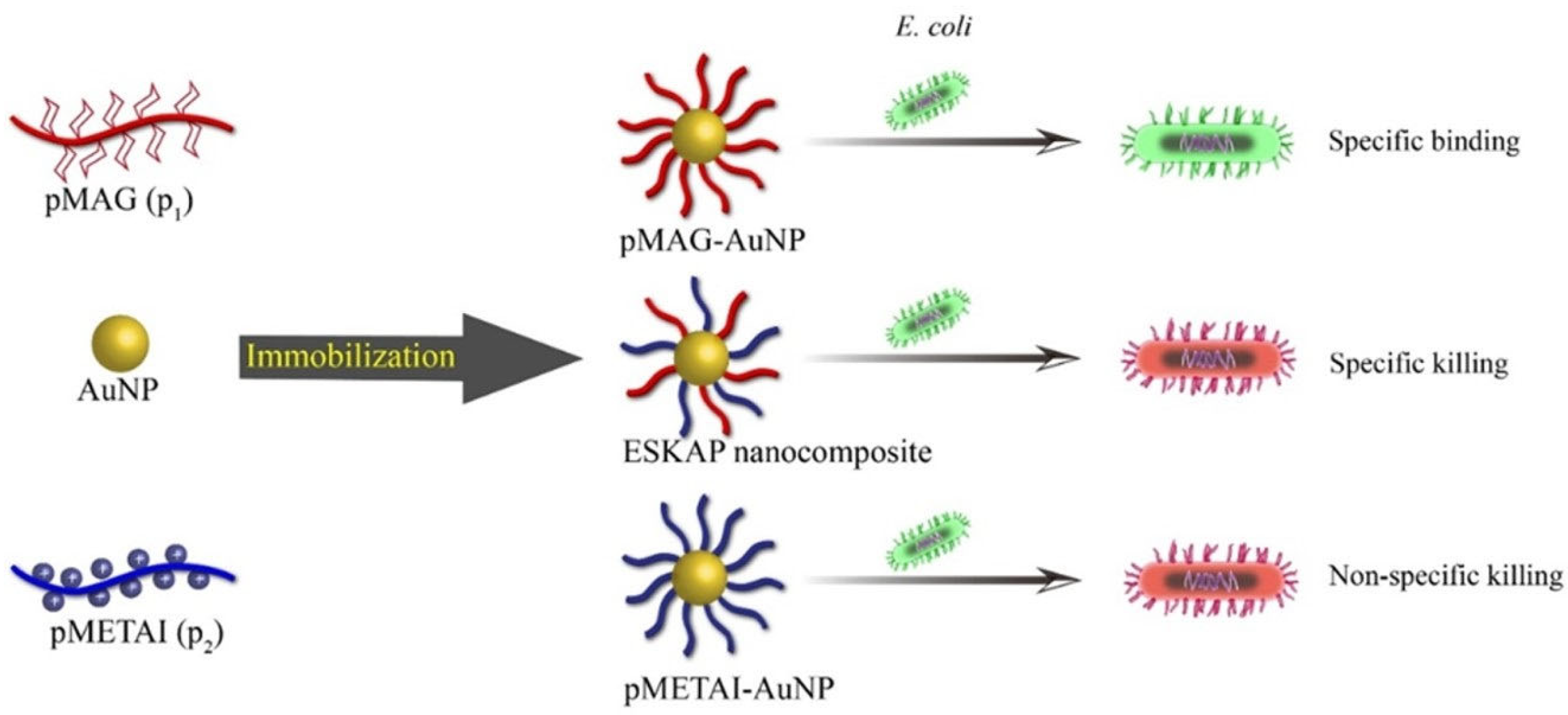 Molecules 28 00985 g004 Molecules 28 00985 g004