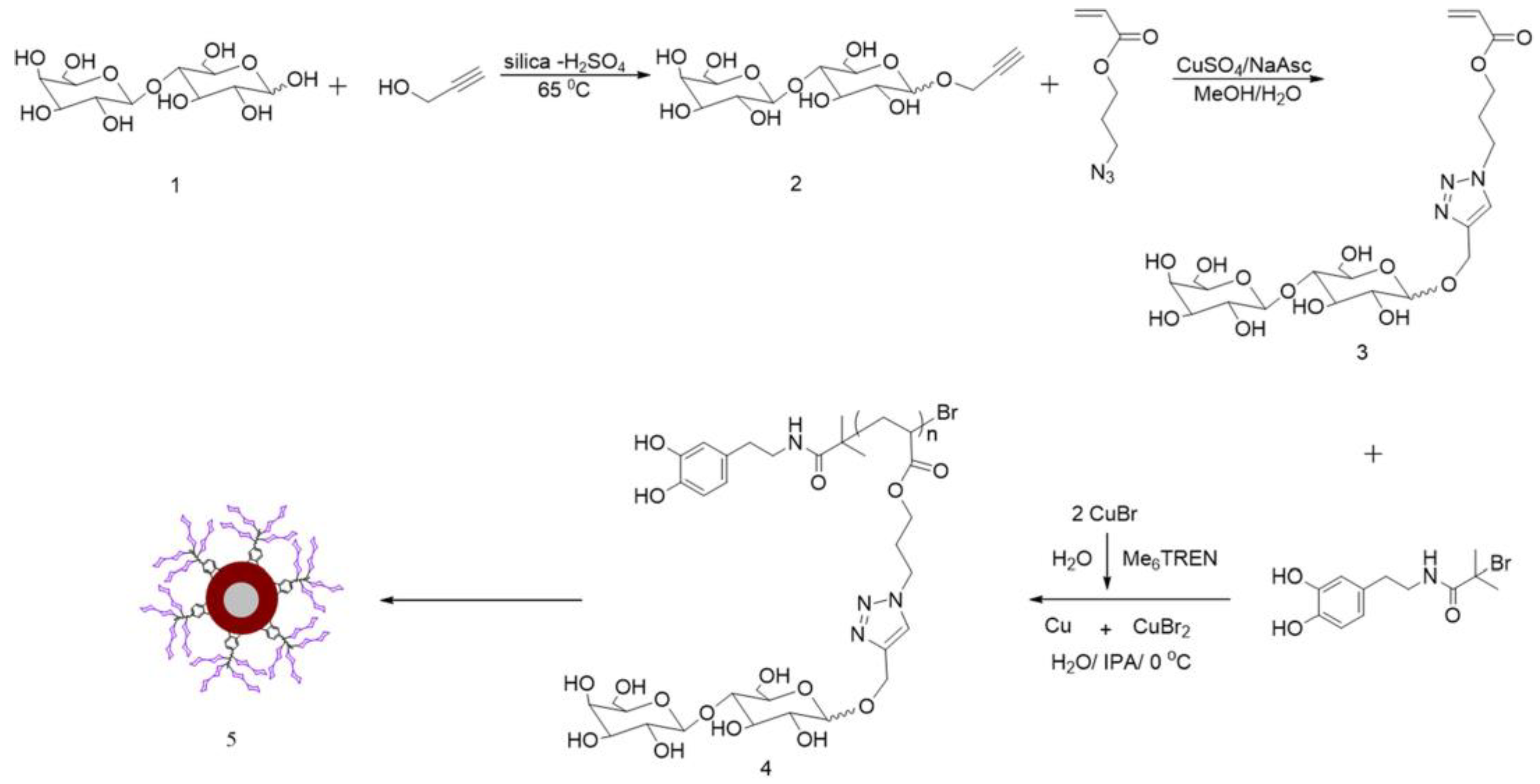 Molecules 28 00985 g006 Molecules 28 00985 g006