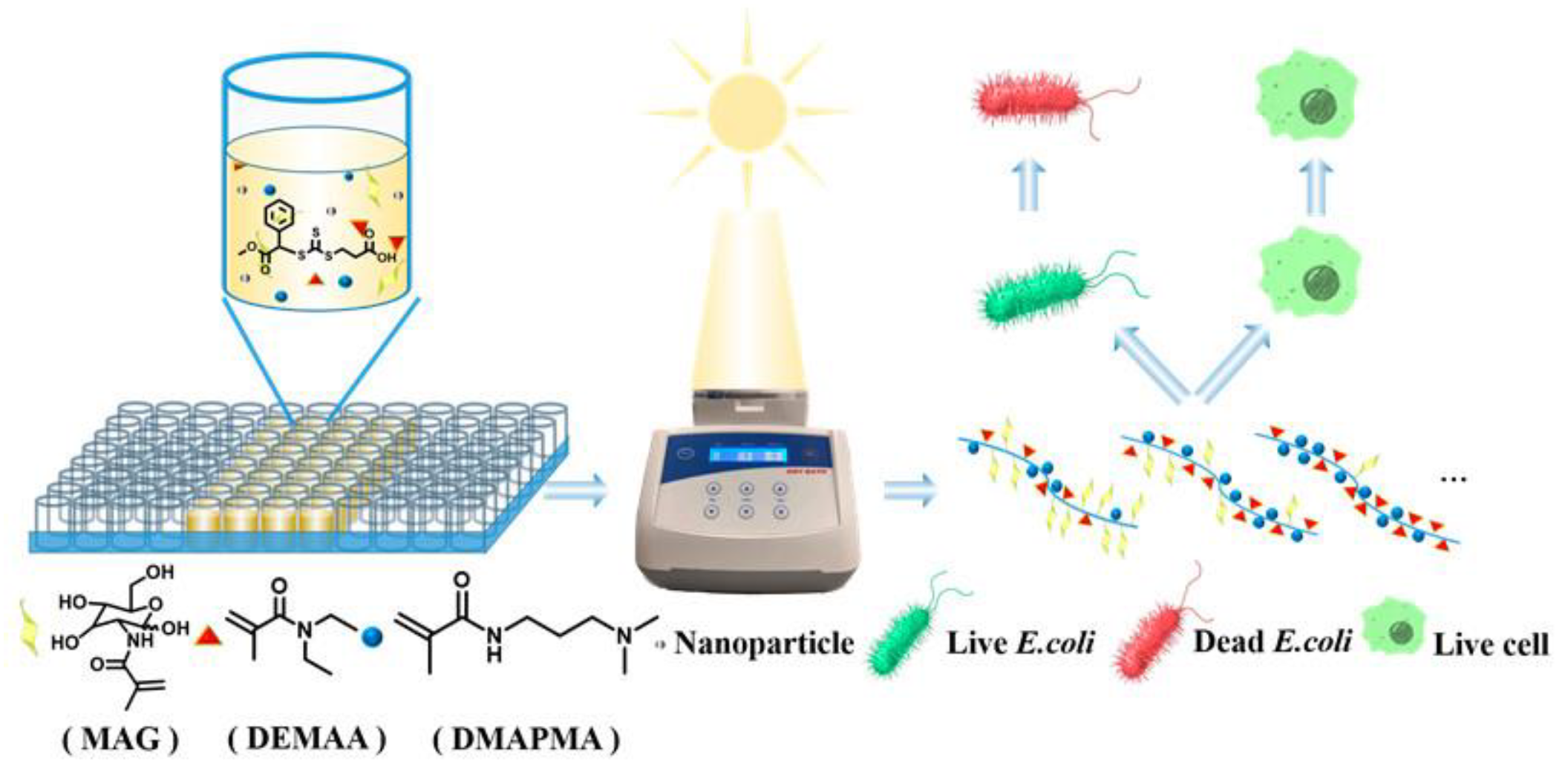 Molecules 28 00985 g007 Molecules 28 00985 g007