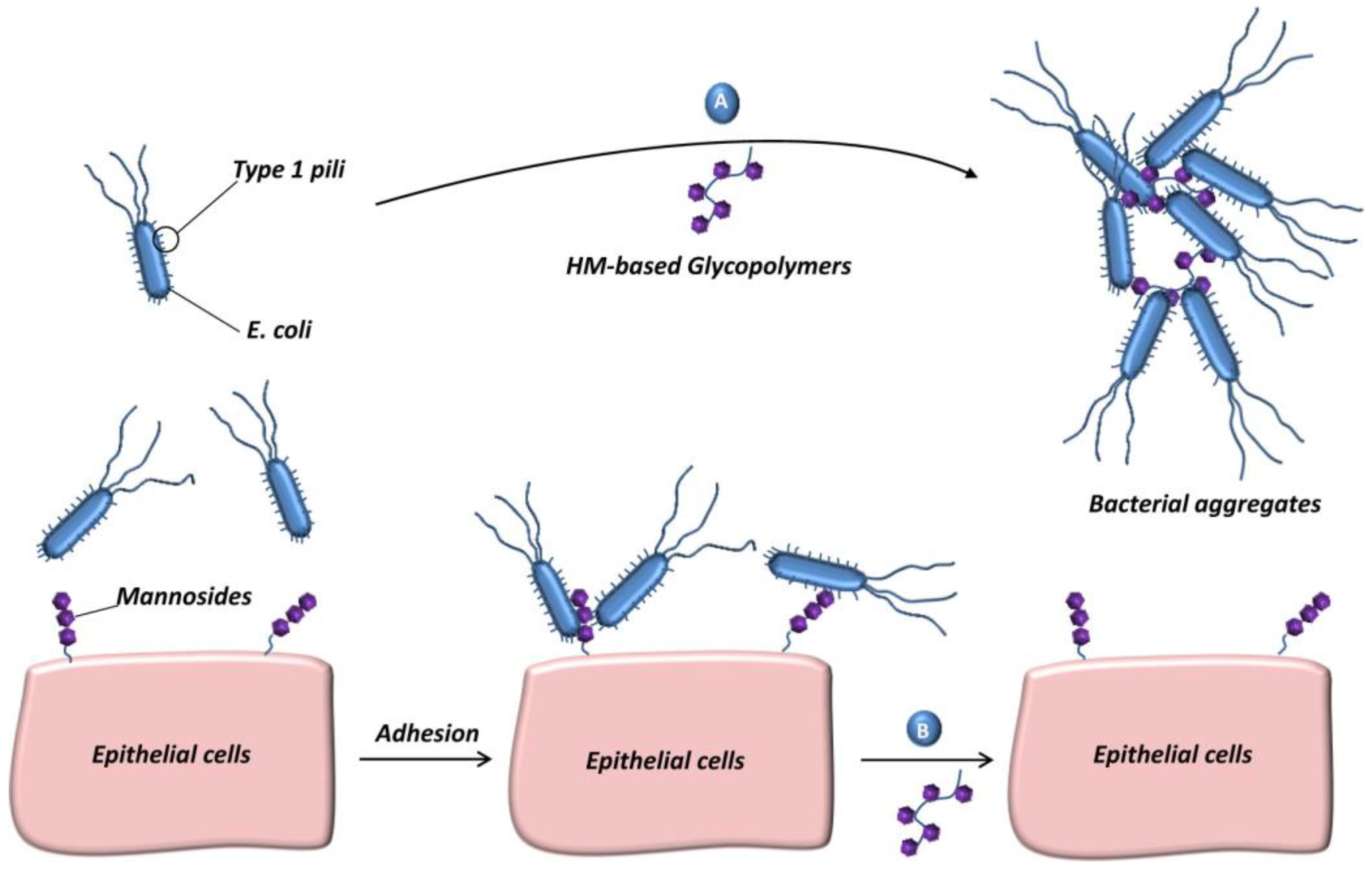 Molecules 28 00985 g008 Molecules 28 00985 g008
