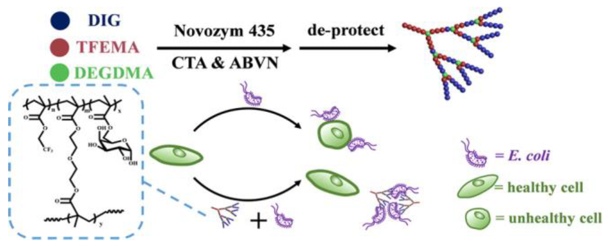 Molecules 28 00985 g009 Molecules 28 00985 g009