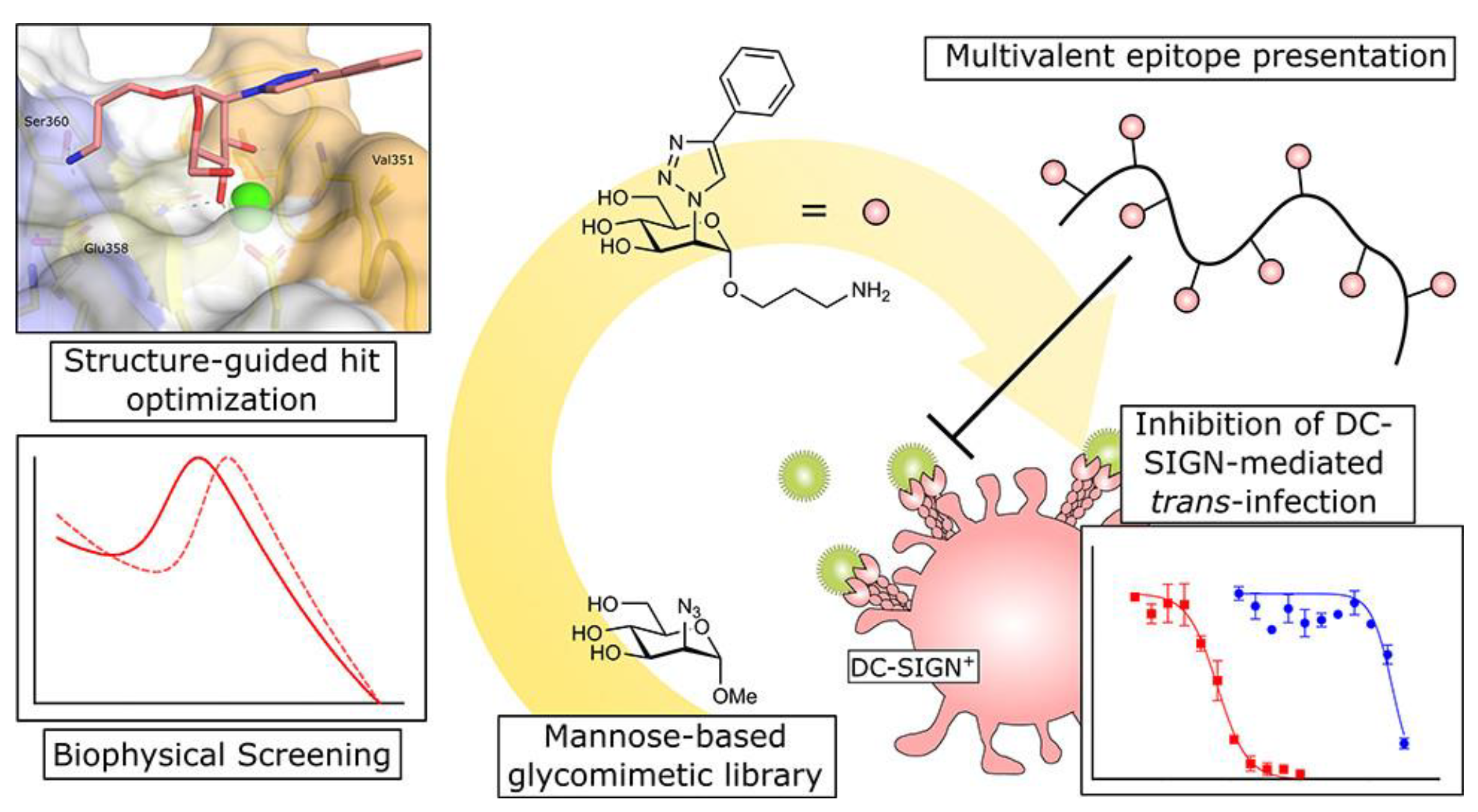 Molecules 28 00985 g013 Molecules 28 00985 g013