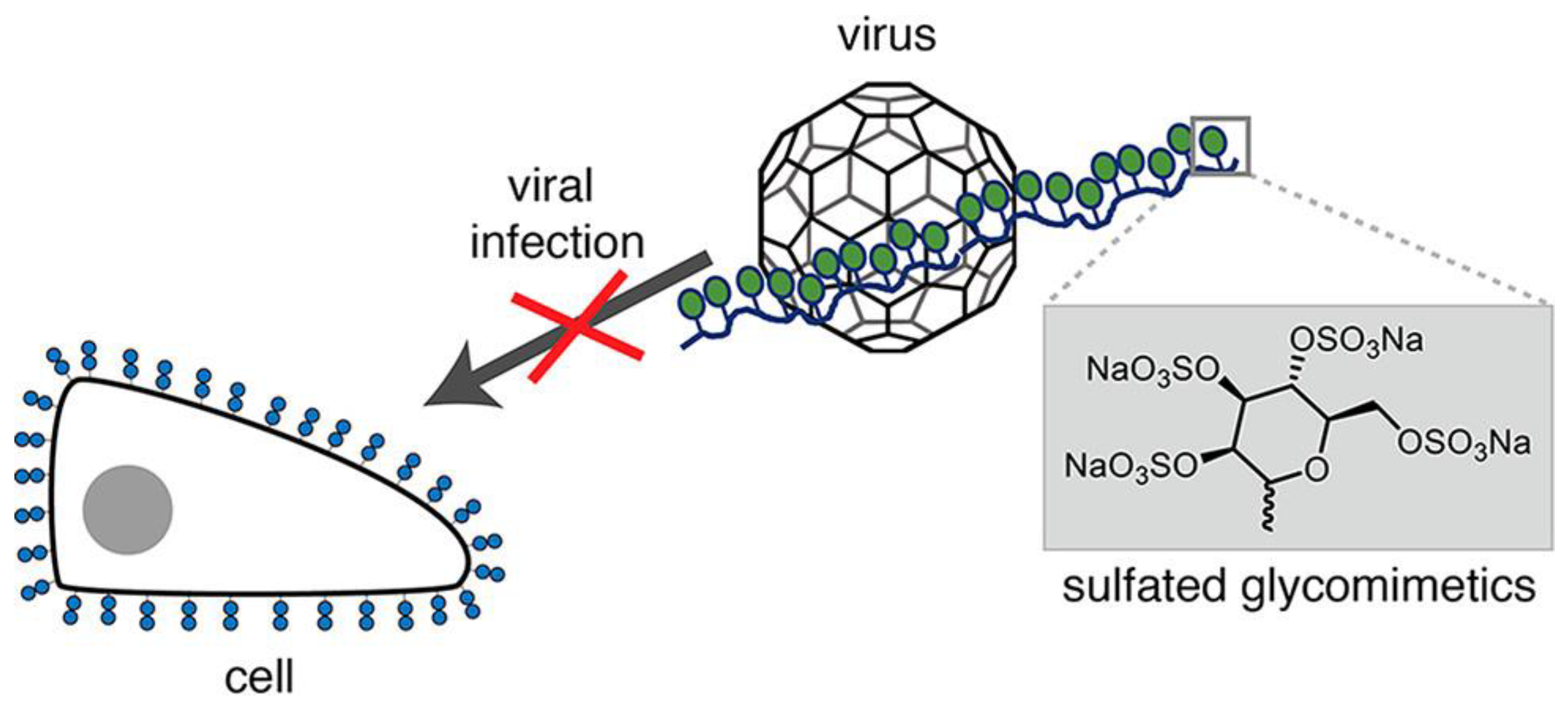 Molecules 28 00985 g014 Molecules 28 00985 g014