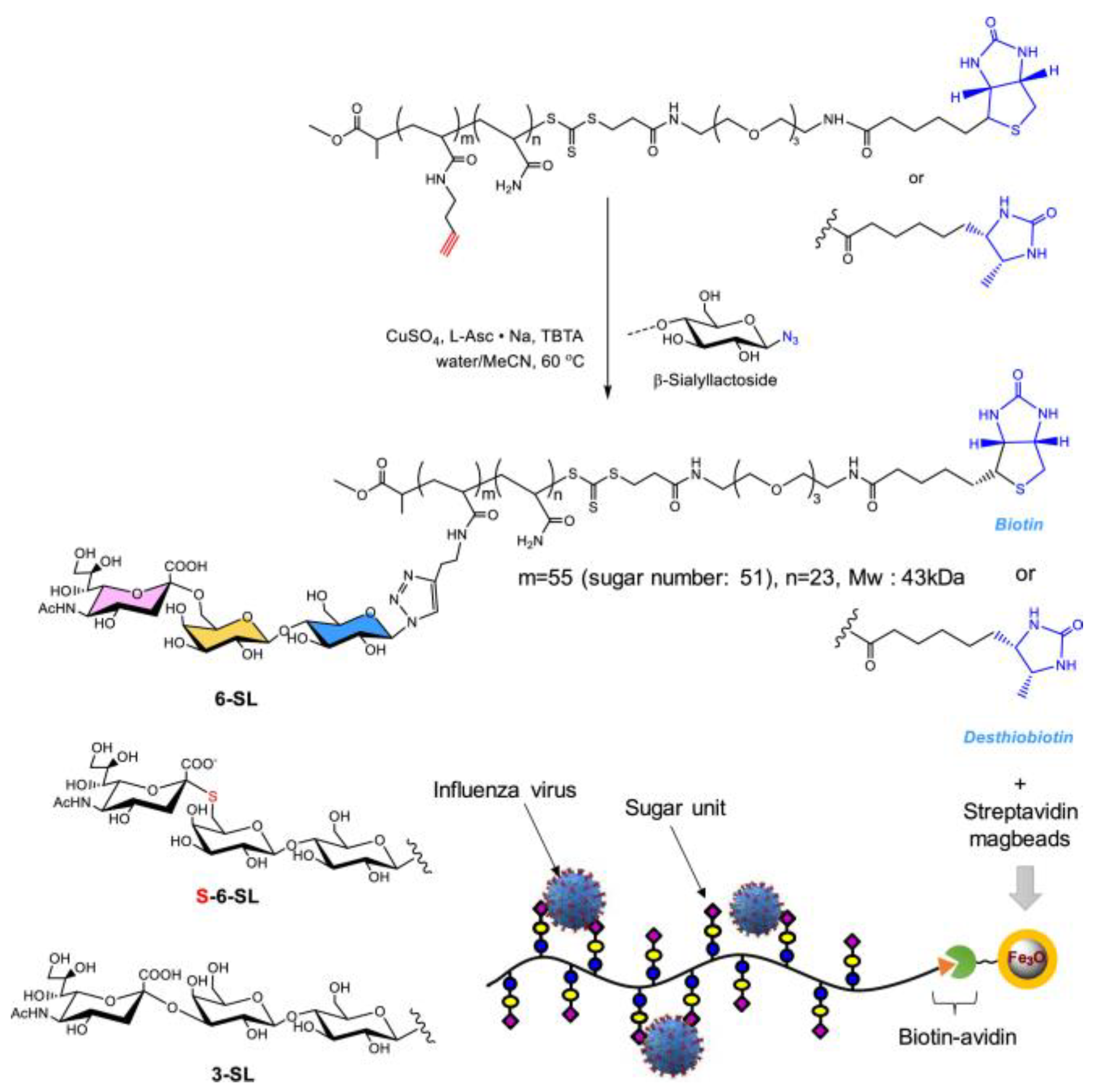 Molecules 28 00985 g015 Molecules 28 00985 g015
