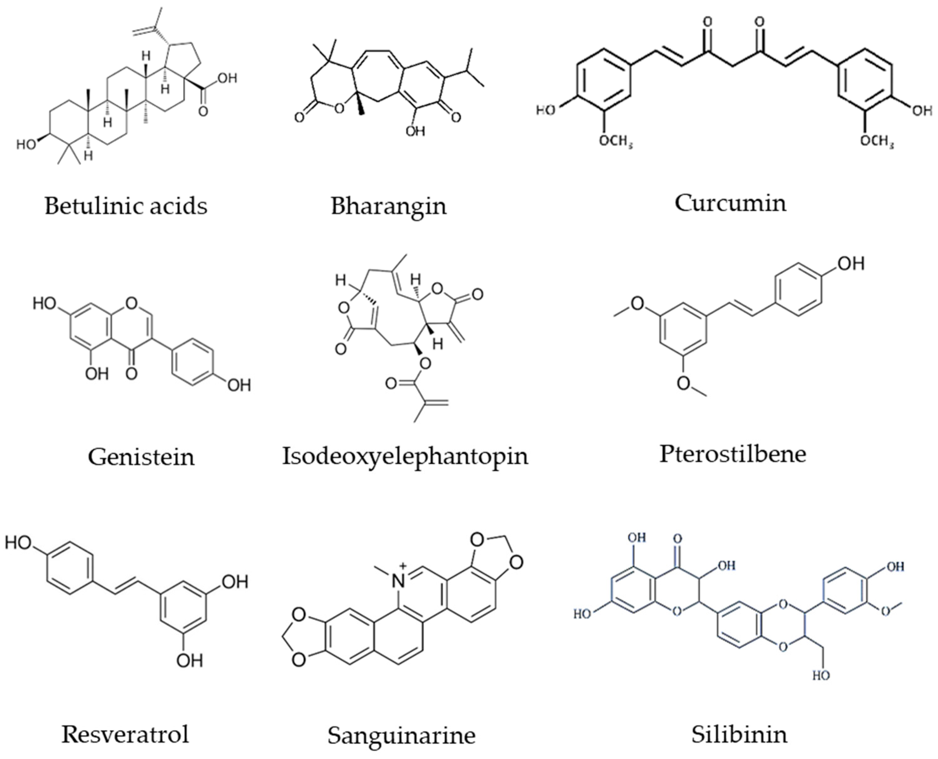 Molecules 28 00987 g003