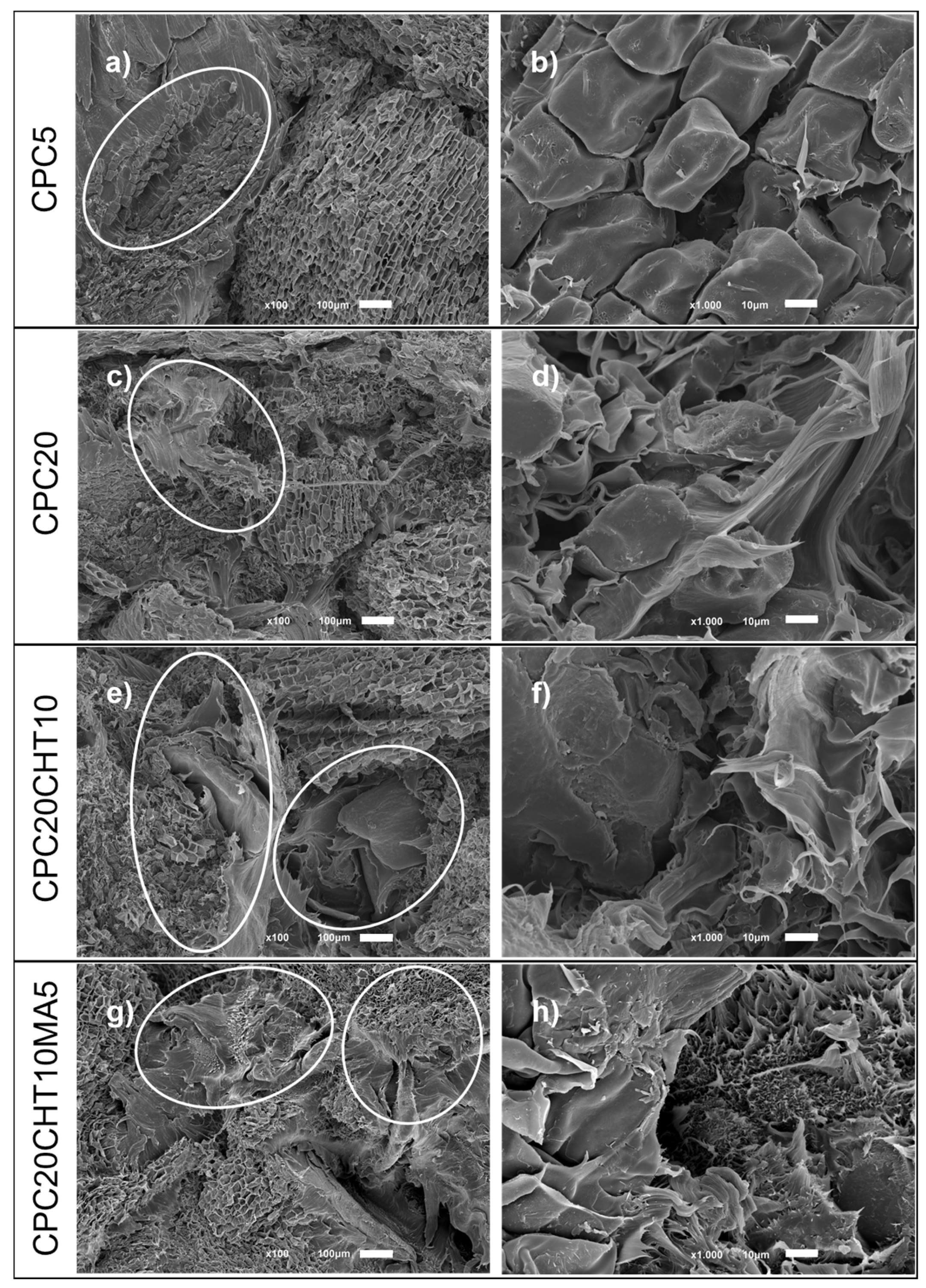 Molecules 28 00990 g007