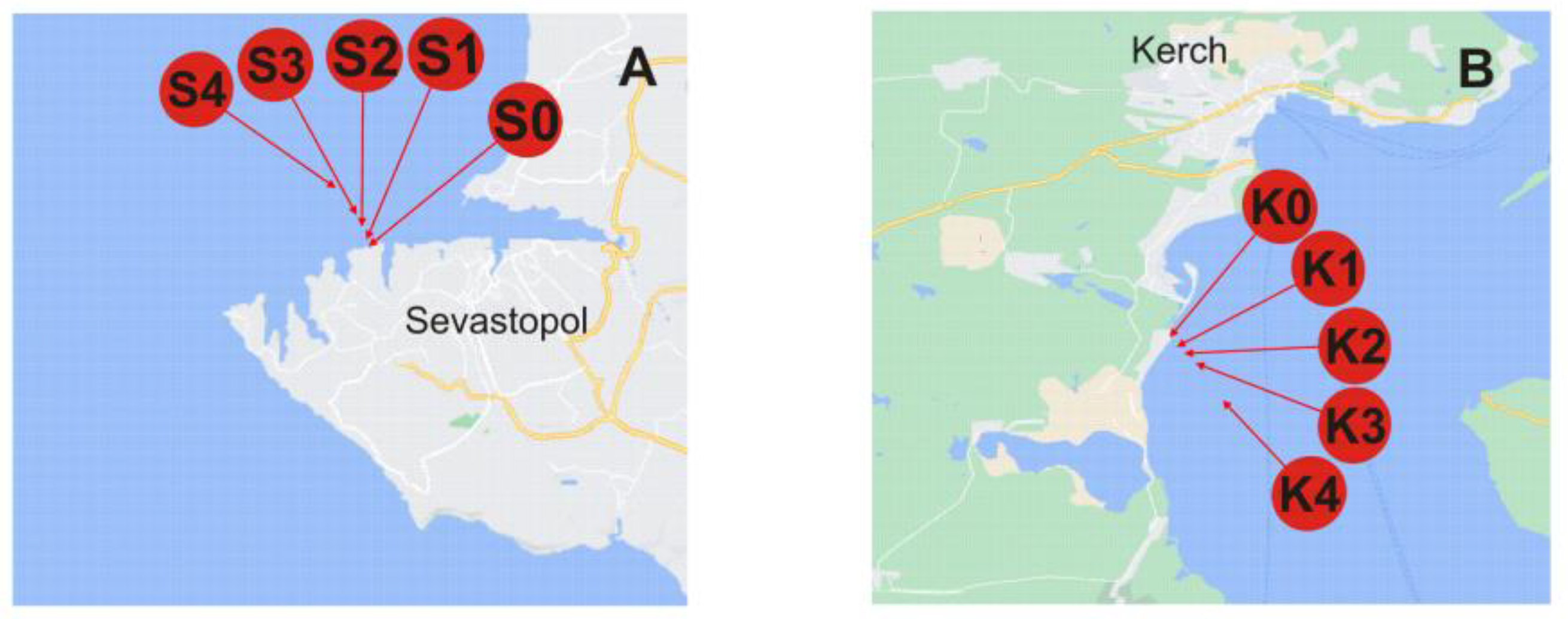 Molecules 28 00994 g003 Molecules 28 00994 g003