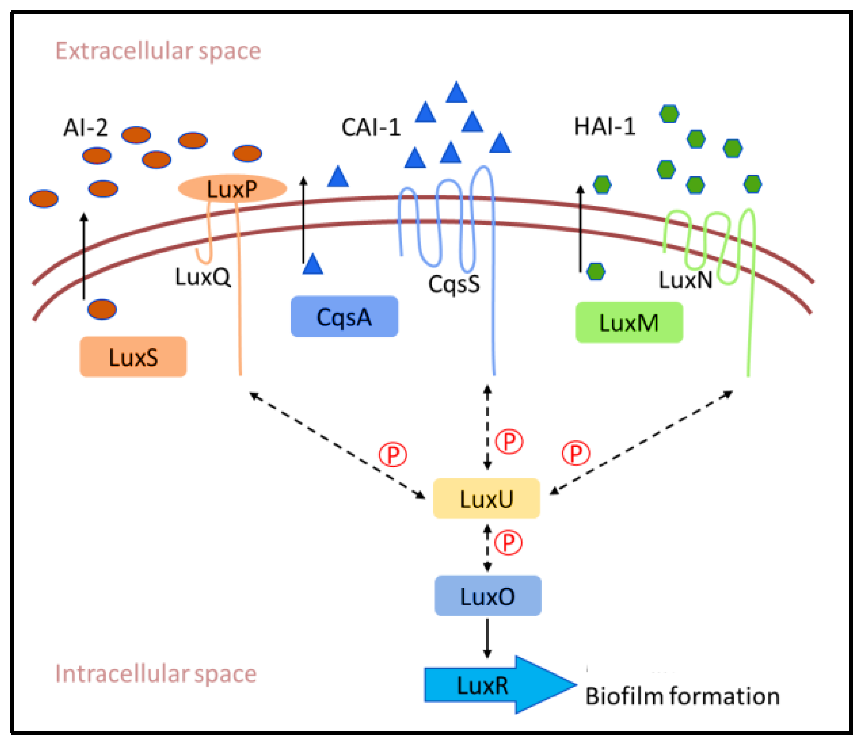 Molecules 28 00995 g003 Molecules 28 00995 g003