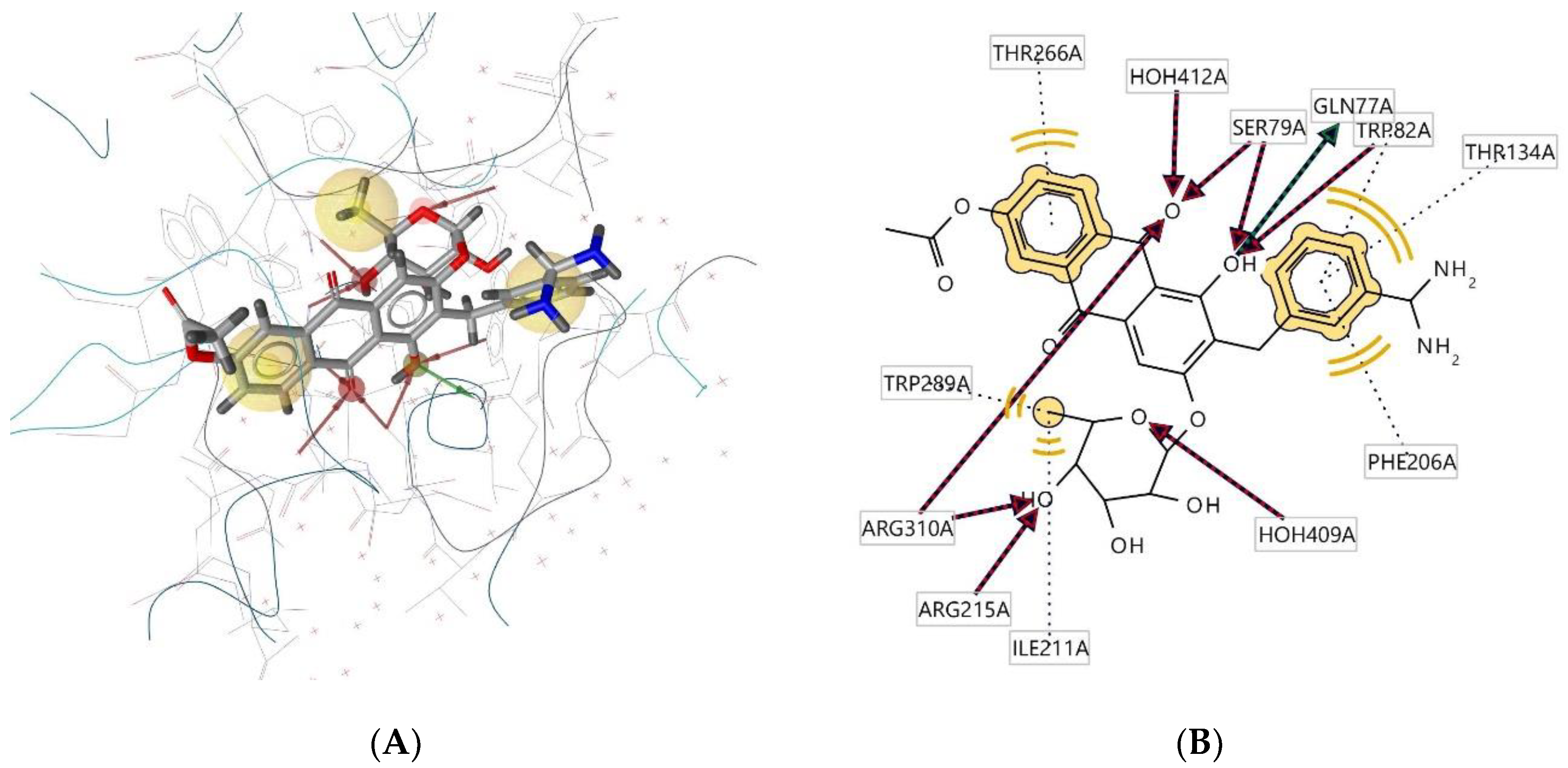 Molecules 28 00995 g007 Molecules 28 00995 g007