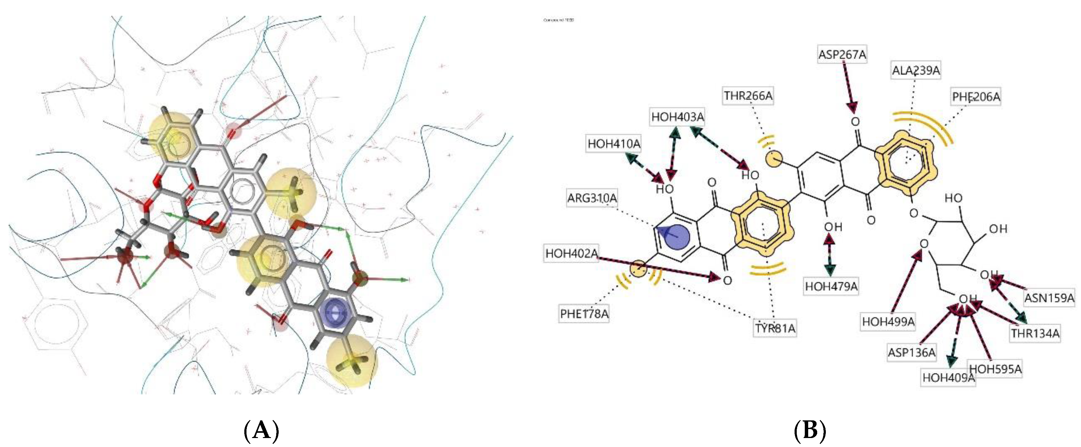 Molecules 28 00995 g010 Molecules 28 00995 g010