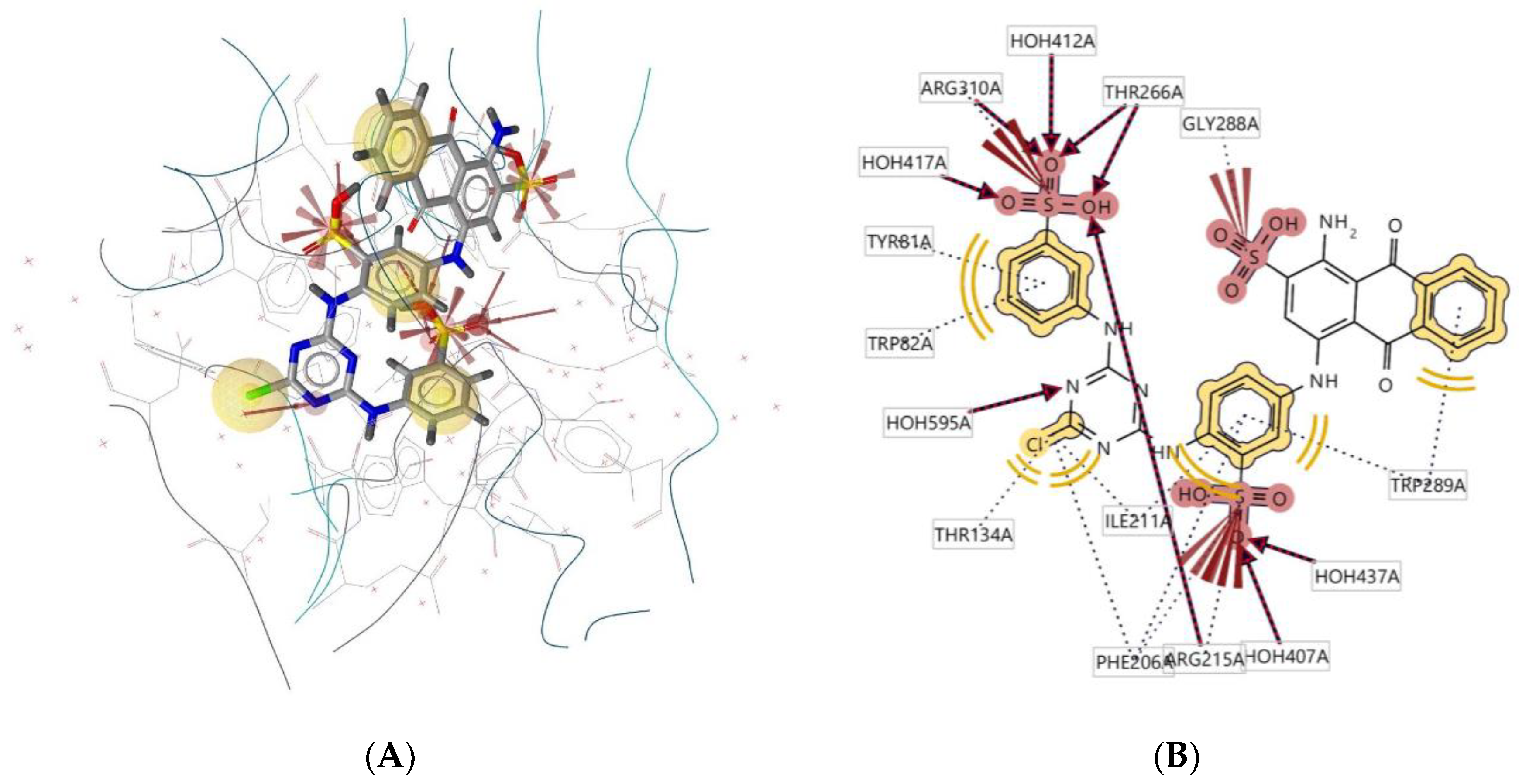 Molecules 28 00995 g012 Molecules 28 00995 g012