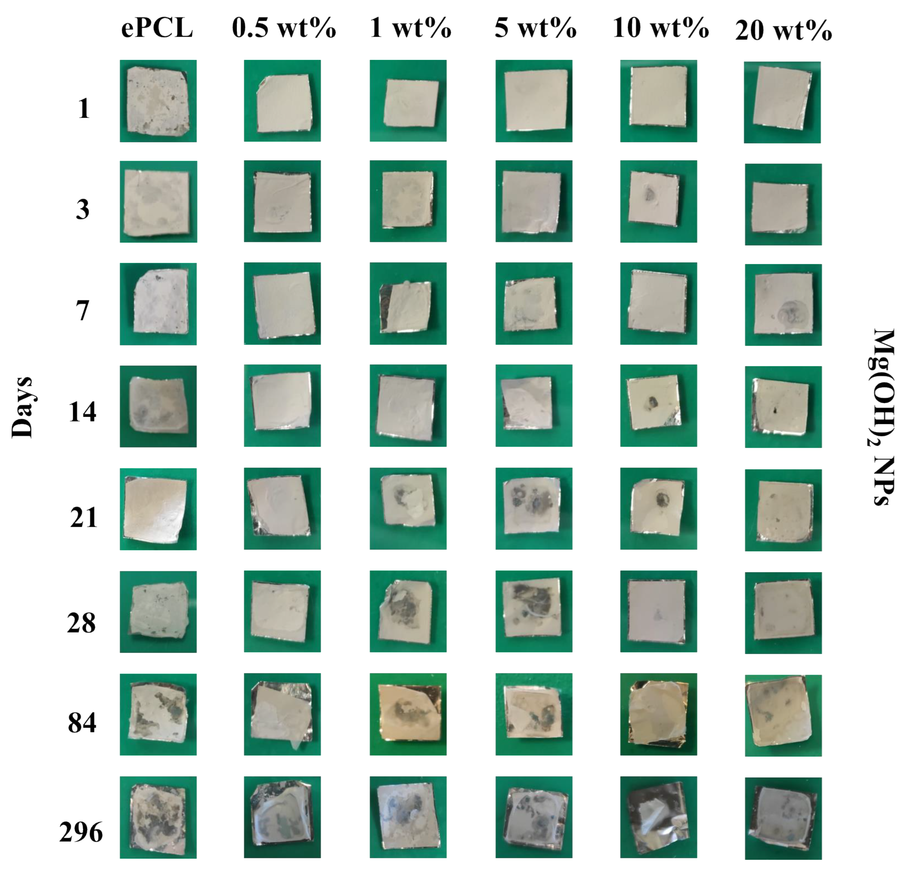 Molecules 28 01001 g002 Molecules 28 01001 g002