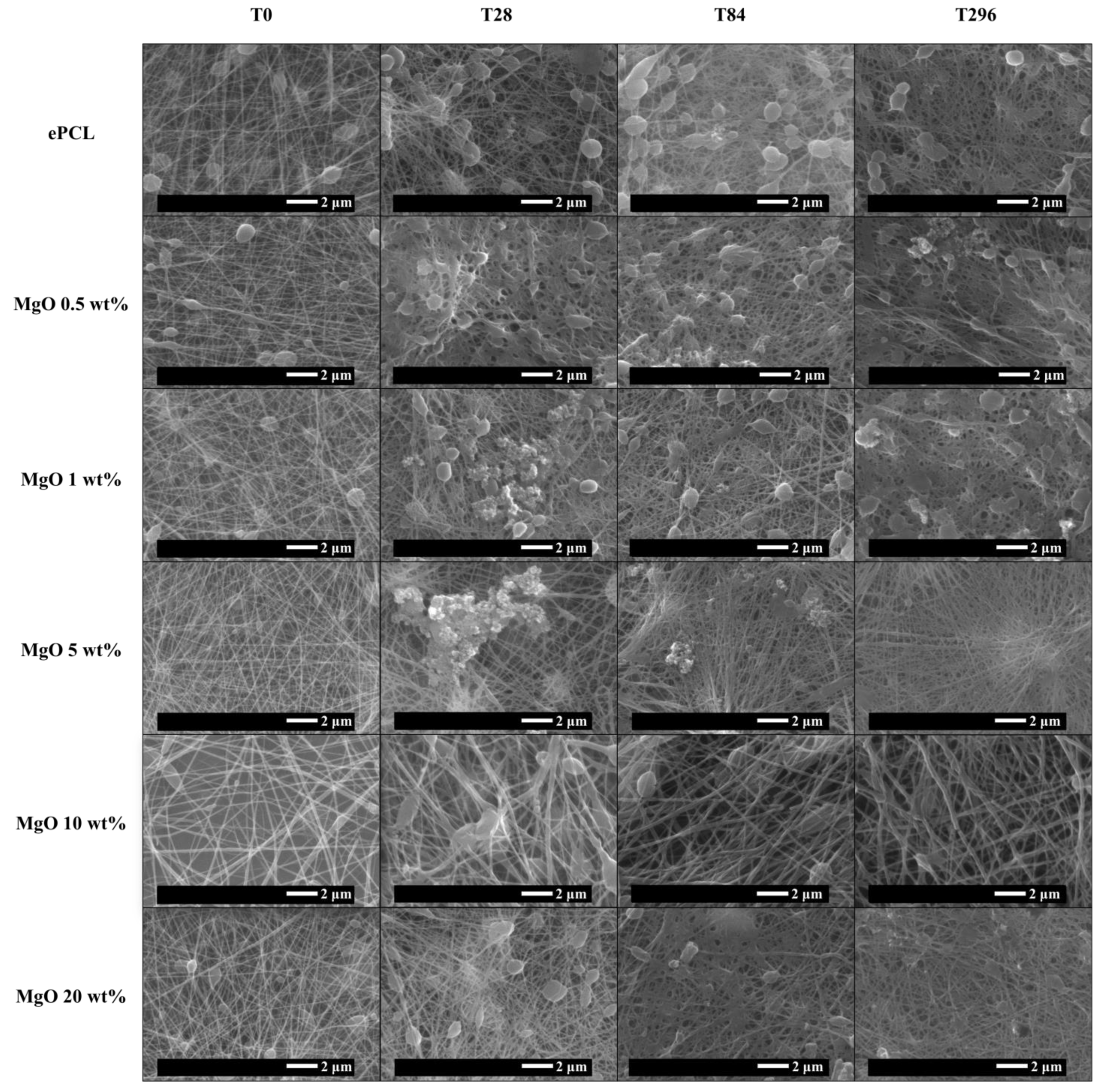 Molecules 28 01001 g003 Molecules 28 01001 g003