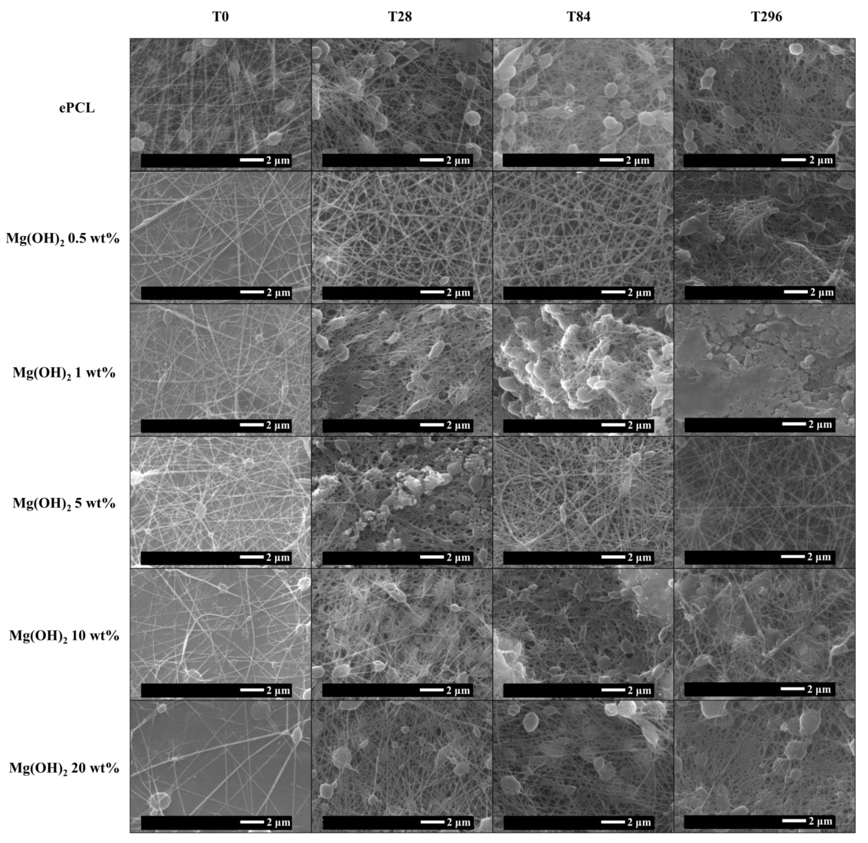 Molecules 28 01001 g004 Molecules 28 01001 g004