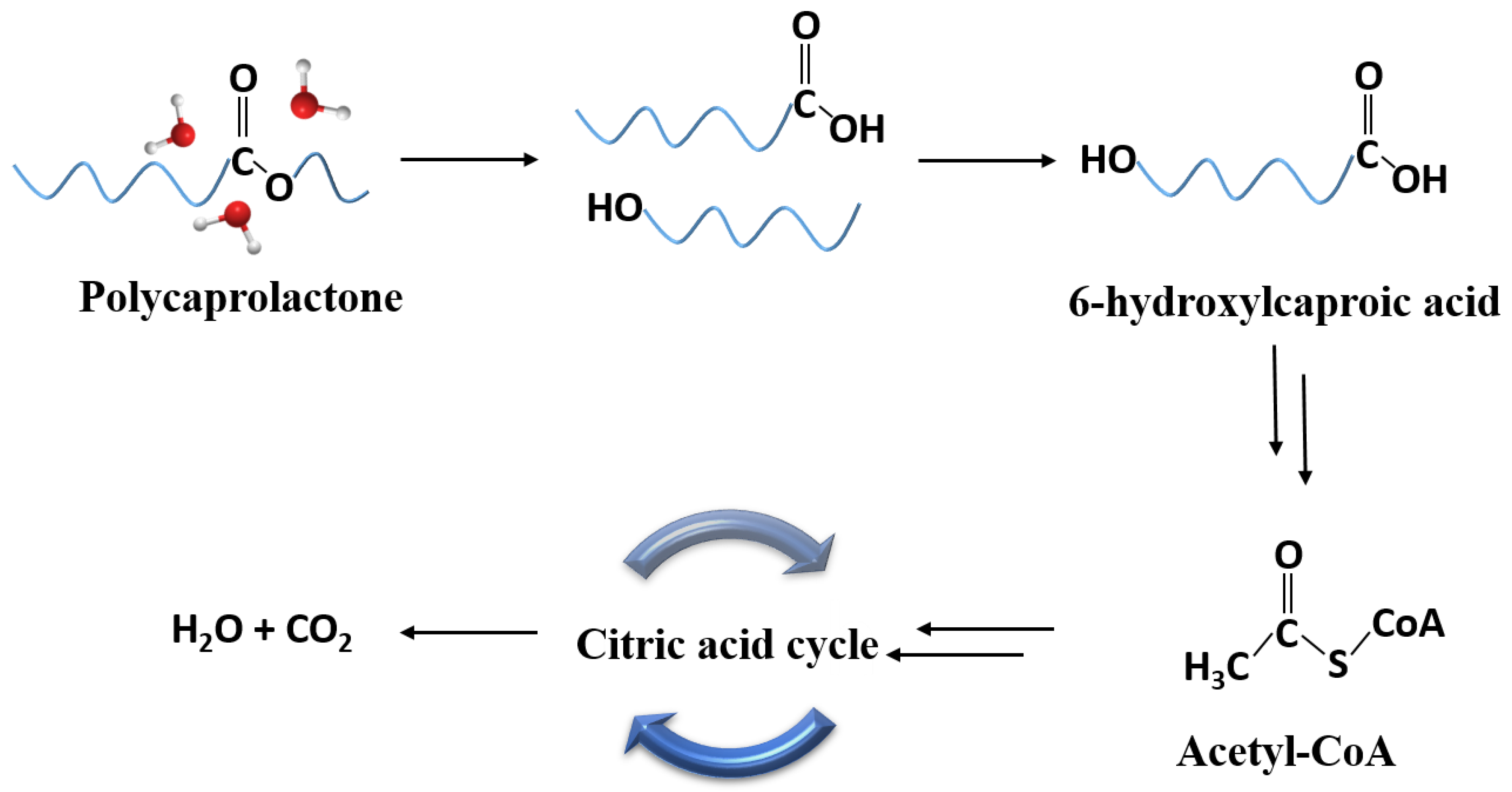 Molecules 28 01001 sch001 Molecules 28 01001 sch001