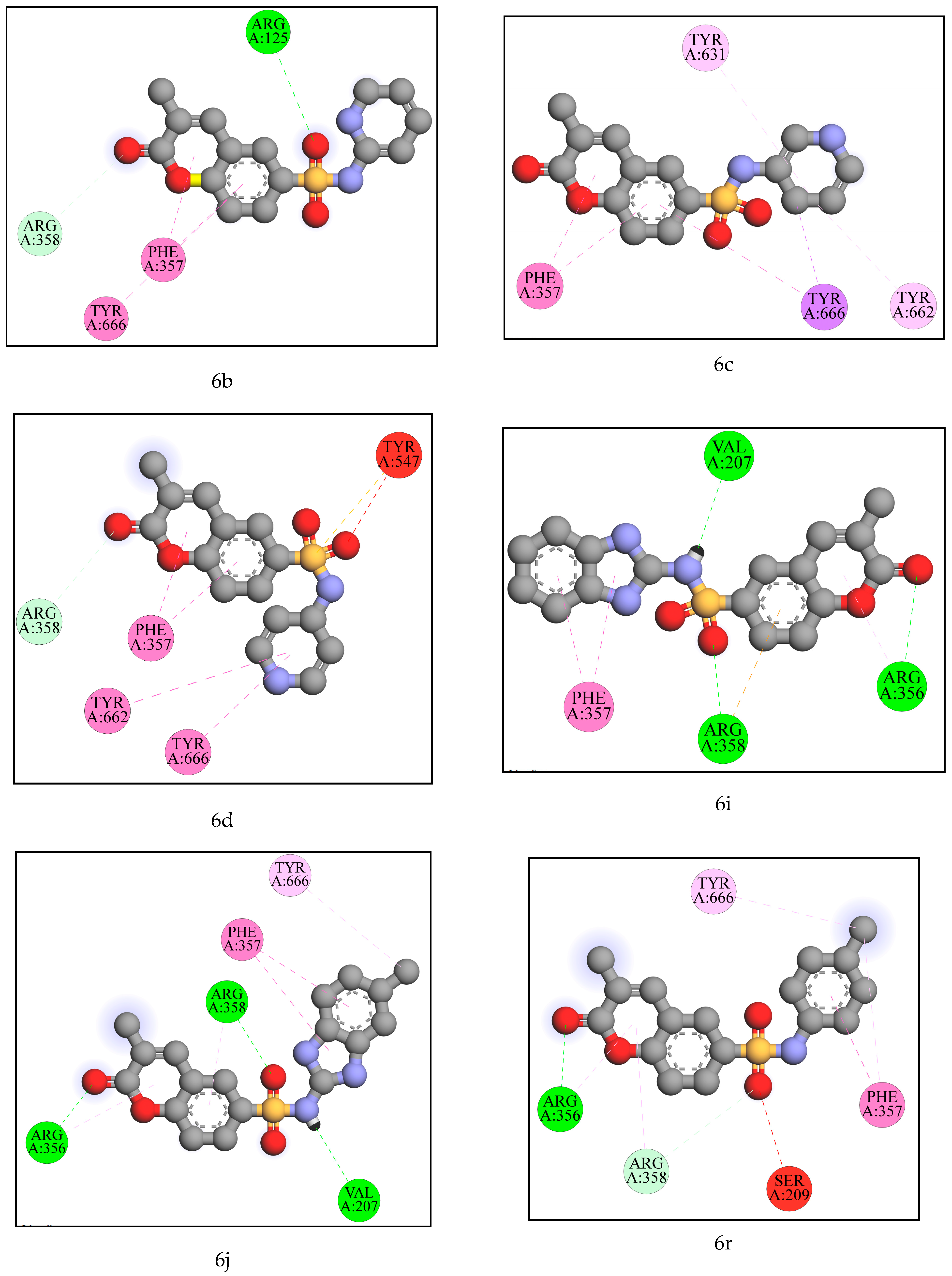 Molecules 28 01004 g006b