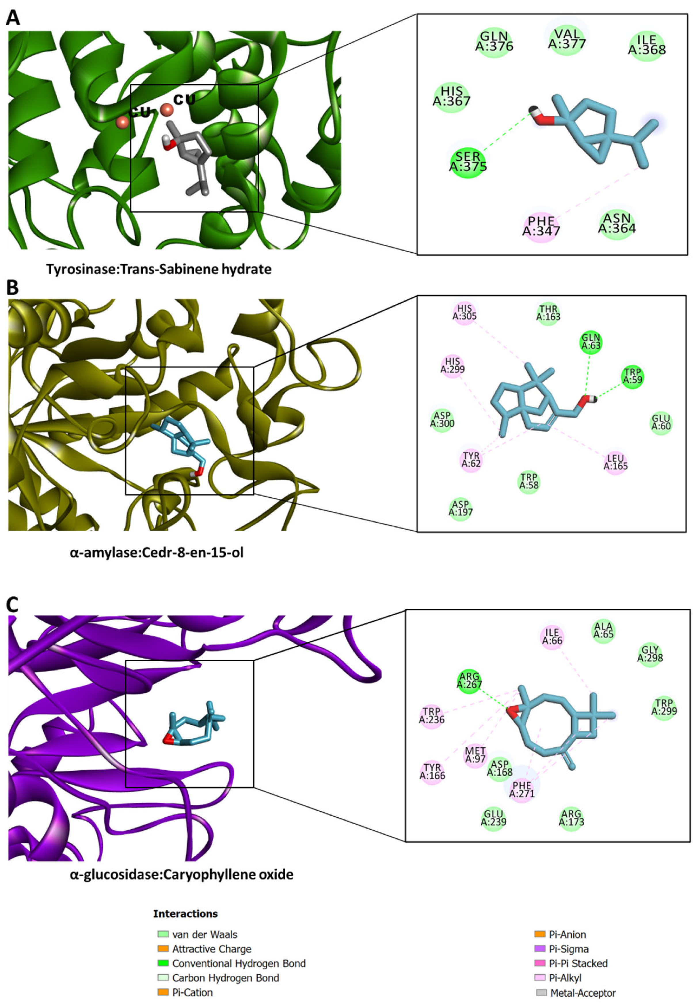 Molecules 28 01005 g006