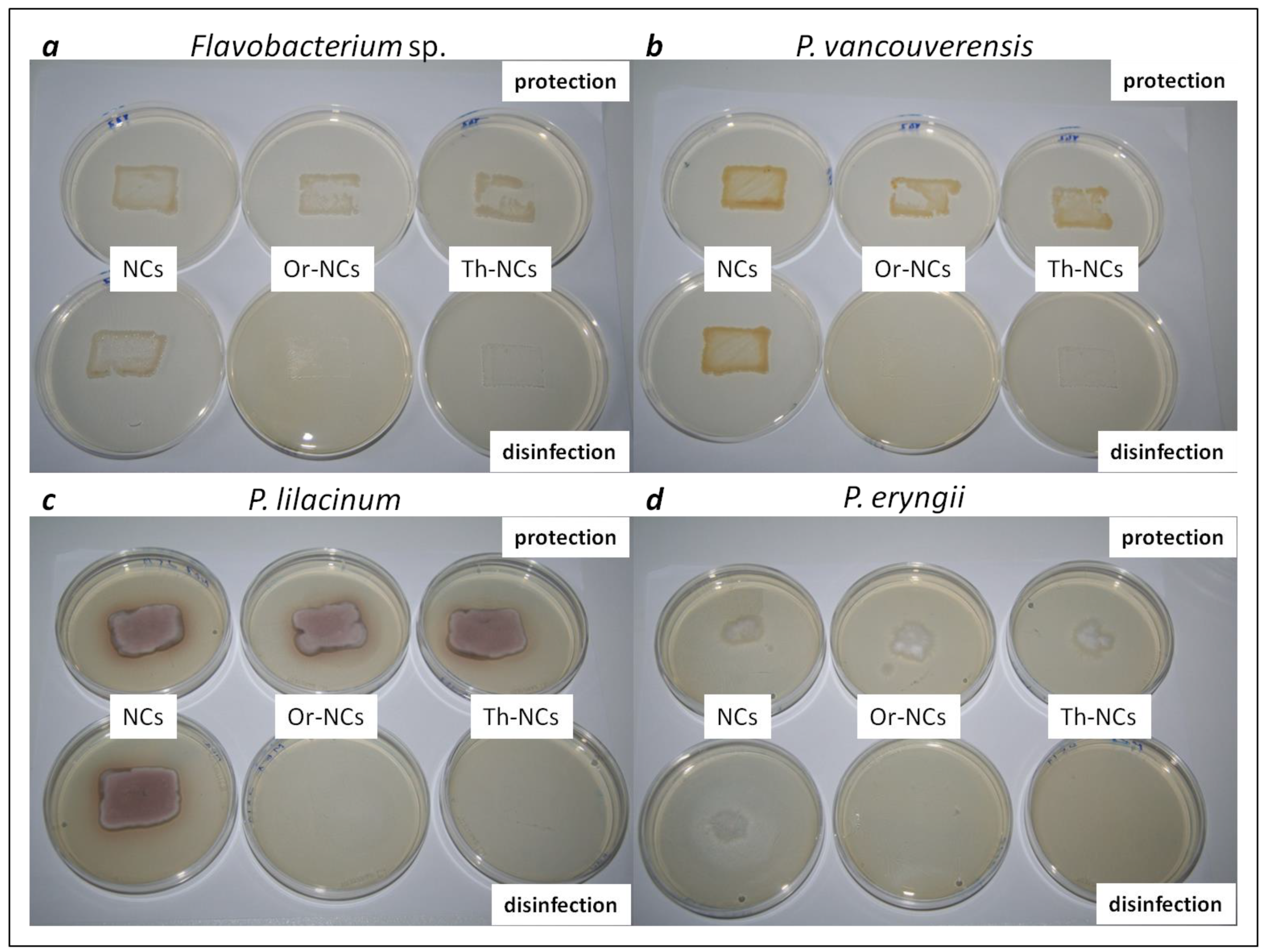 Molecules 28 01018 g002 Molecules 28 01018 g002