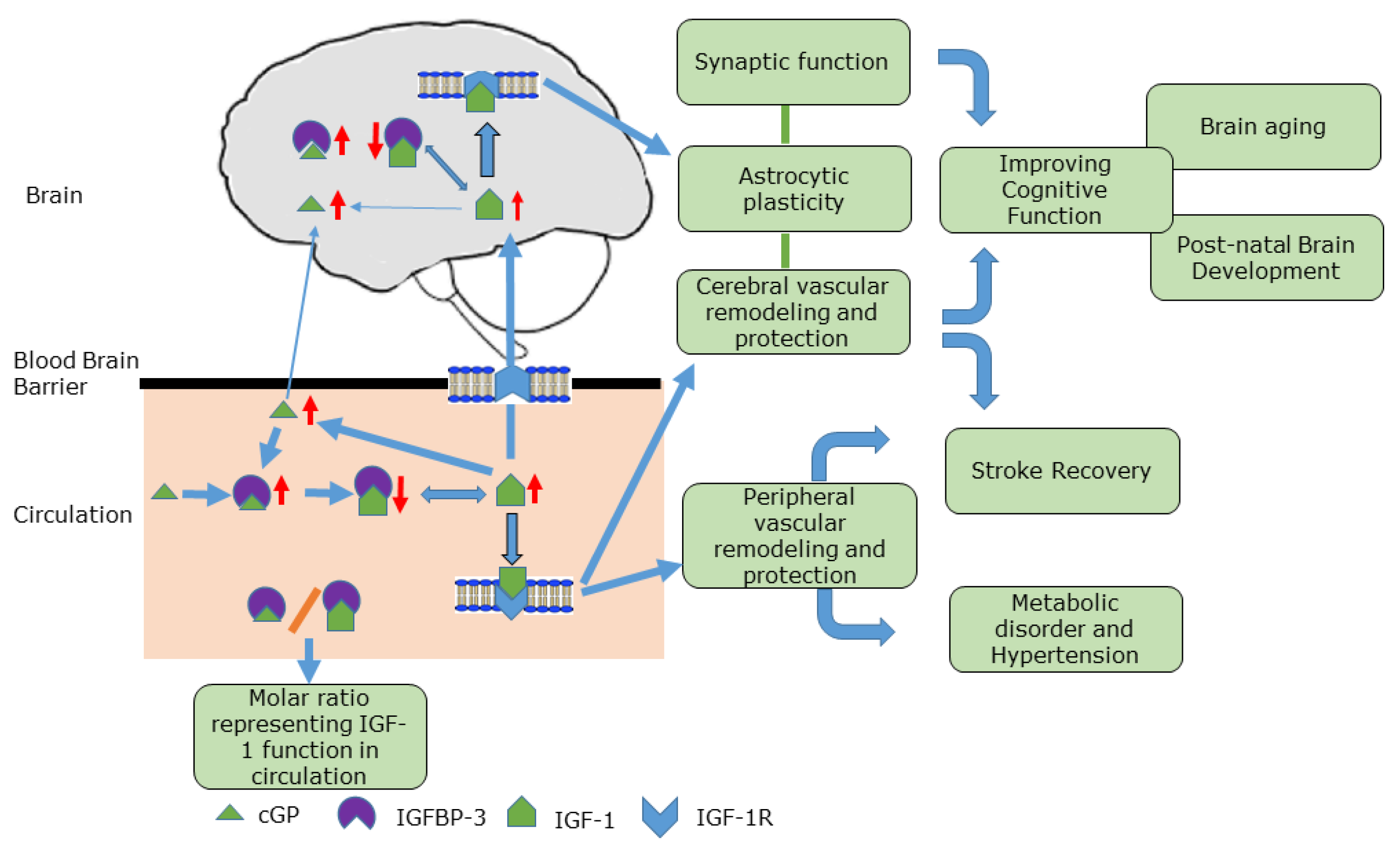 Molecules 28 01021 g003 Molecules 28 01021 g003