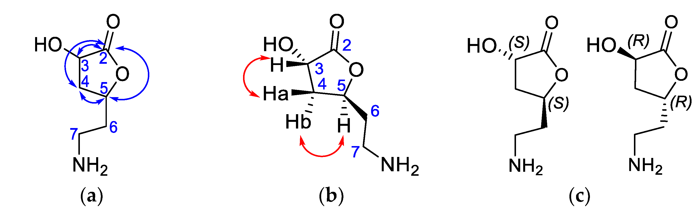 Molecules 28 01028 g005 Molecules 28 01028 g005