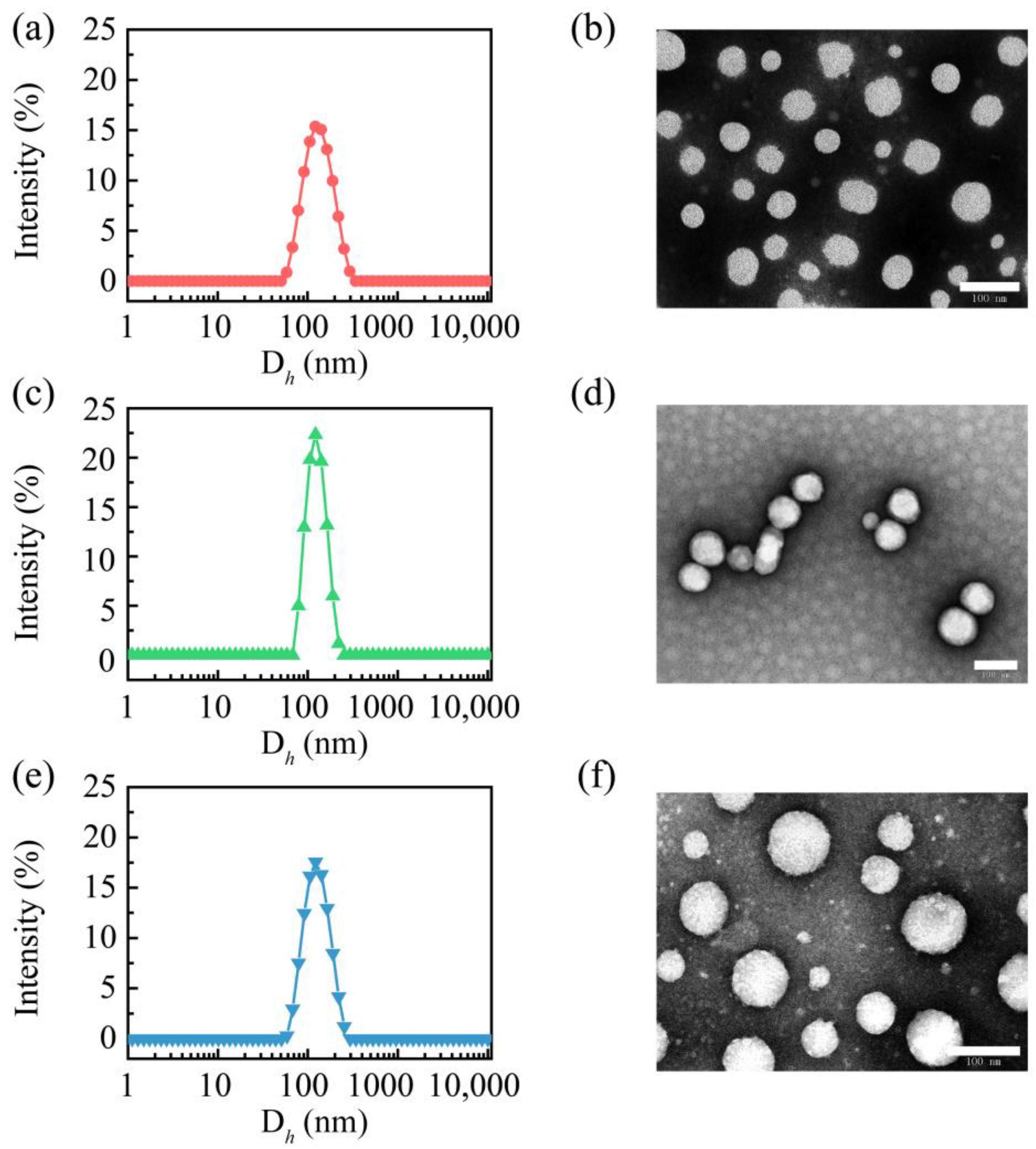 Molecules 28 01040 g002 Molecules 28 01040 g002