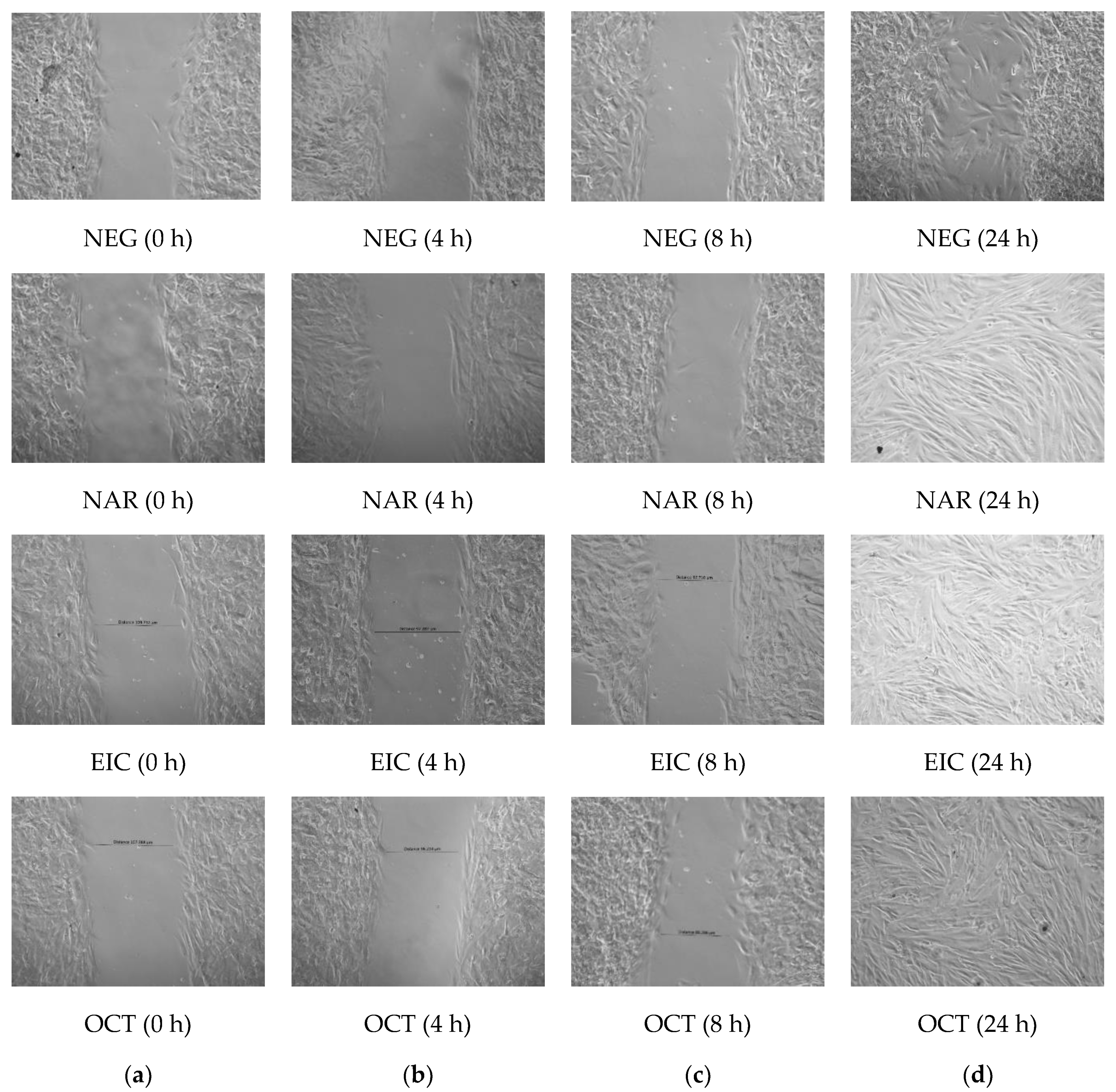 Molecules 28 01043 g002