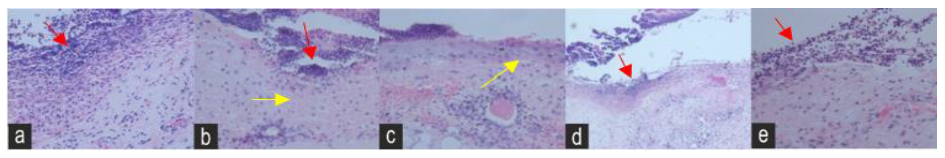 Molecules 28 01043 g006
