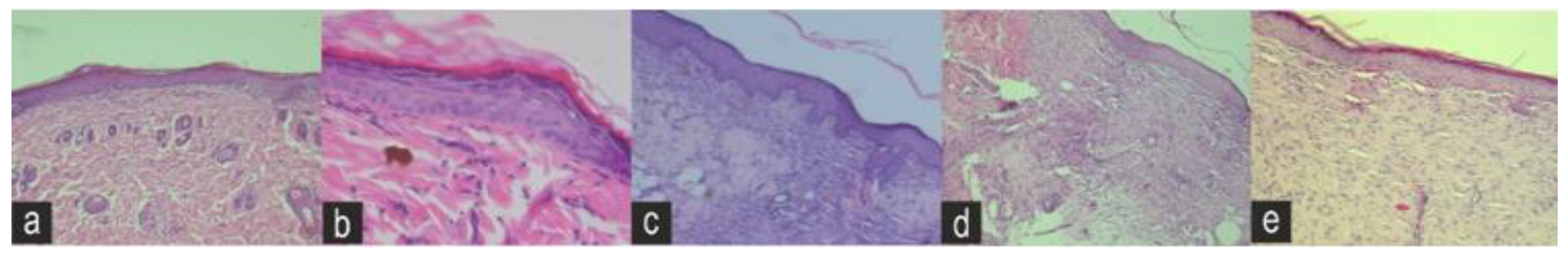 Molecules 28 01043 g007
