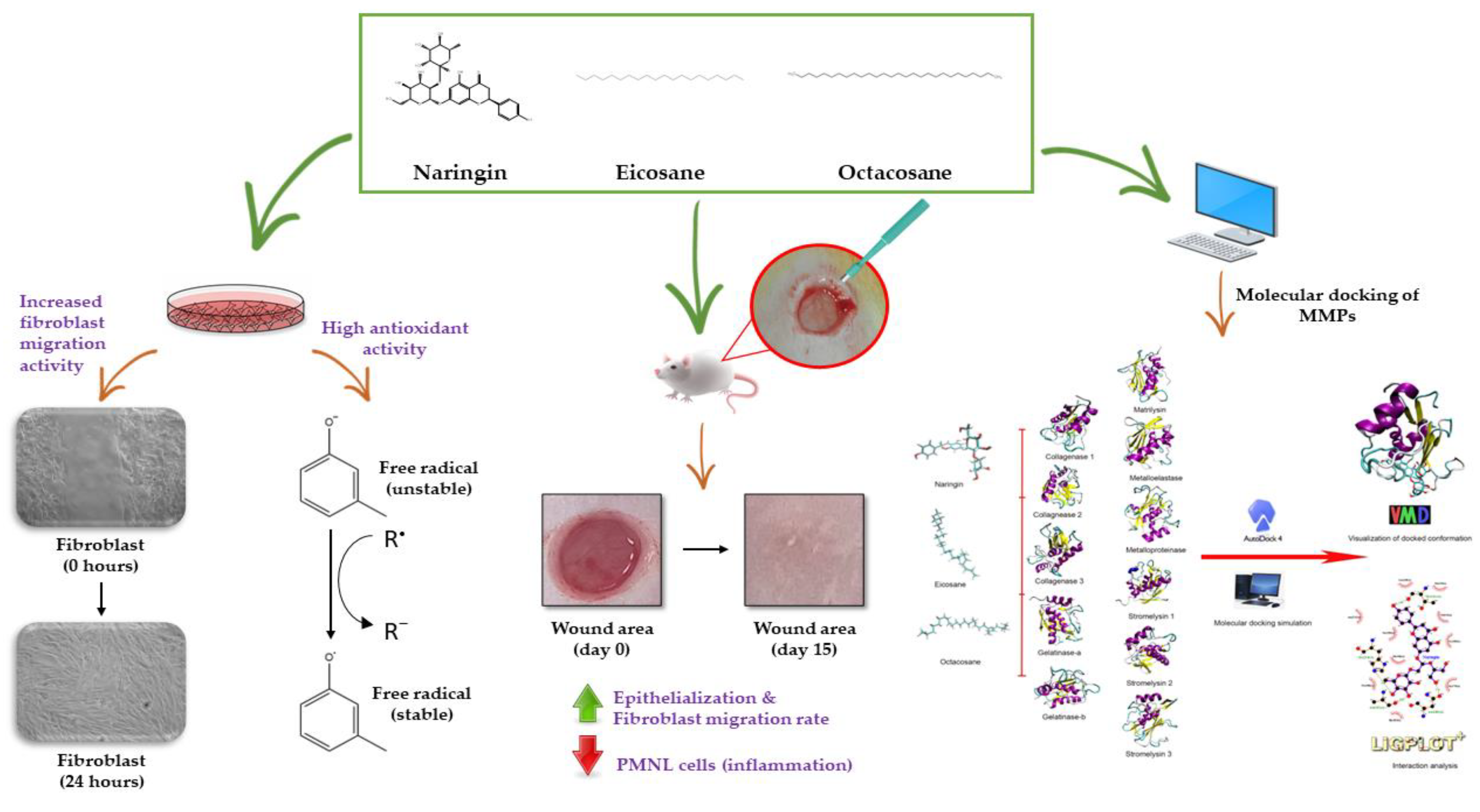 Molecules 28 01043 g012