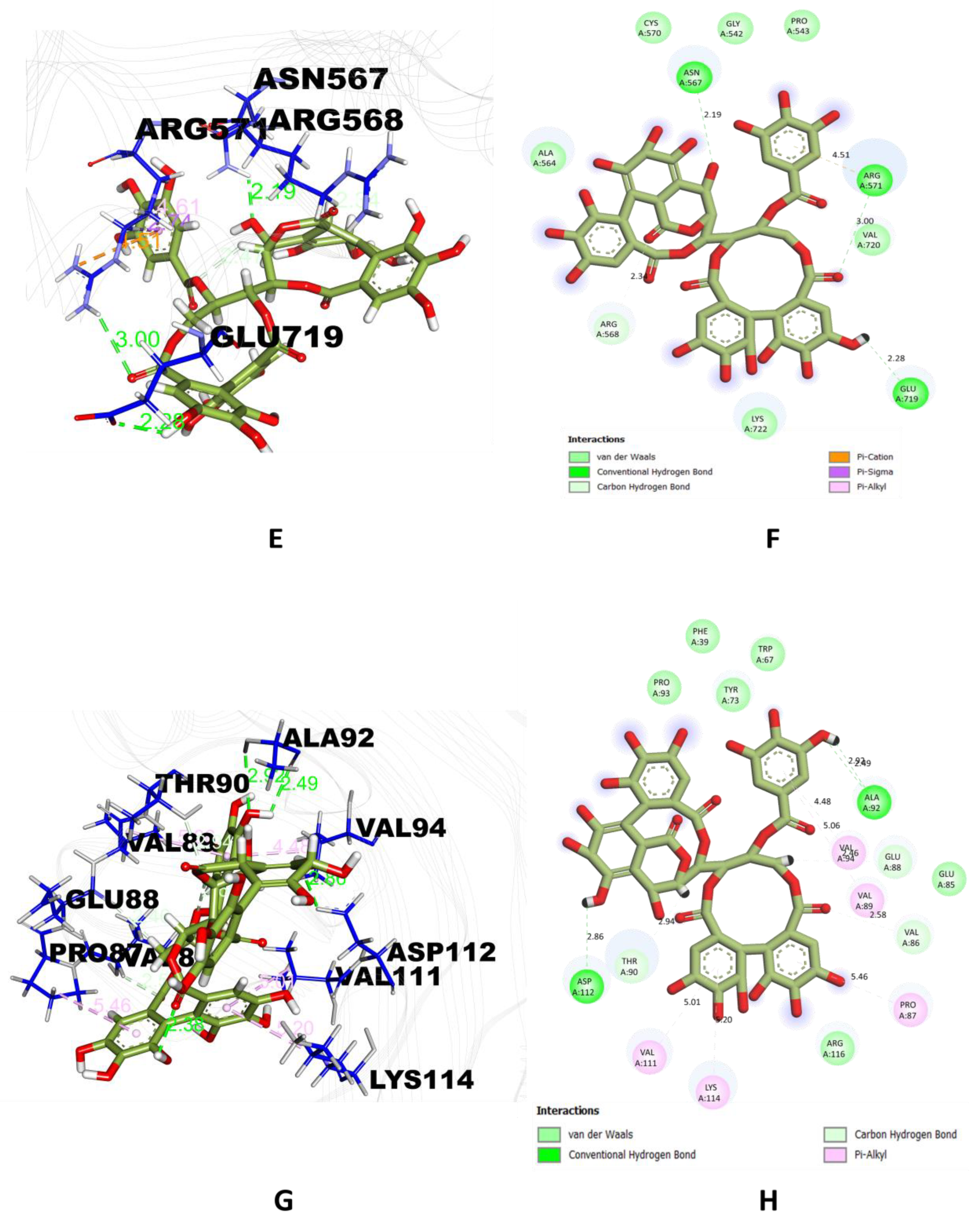 Molecules 28 01046 g001b Molecules 28 01046 g001b