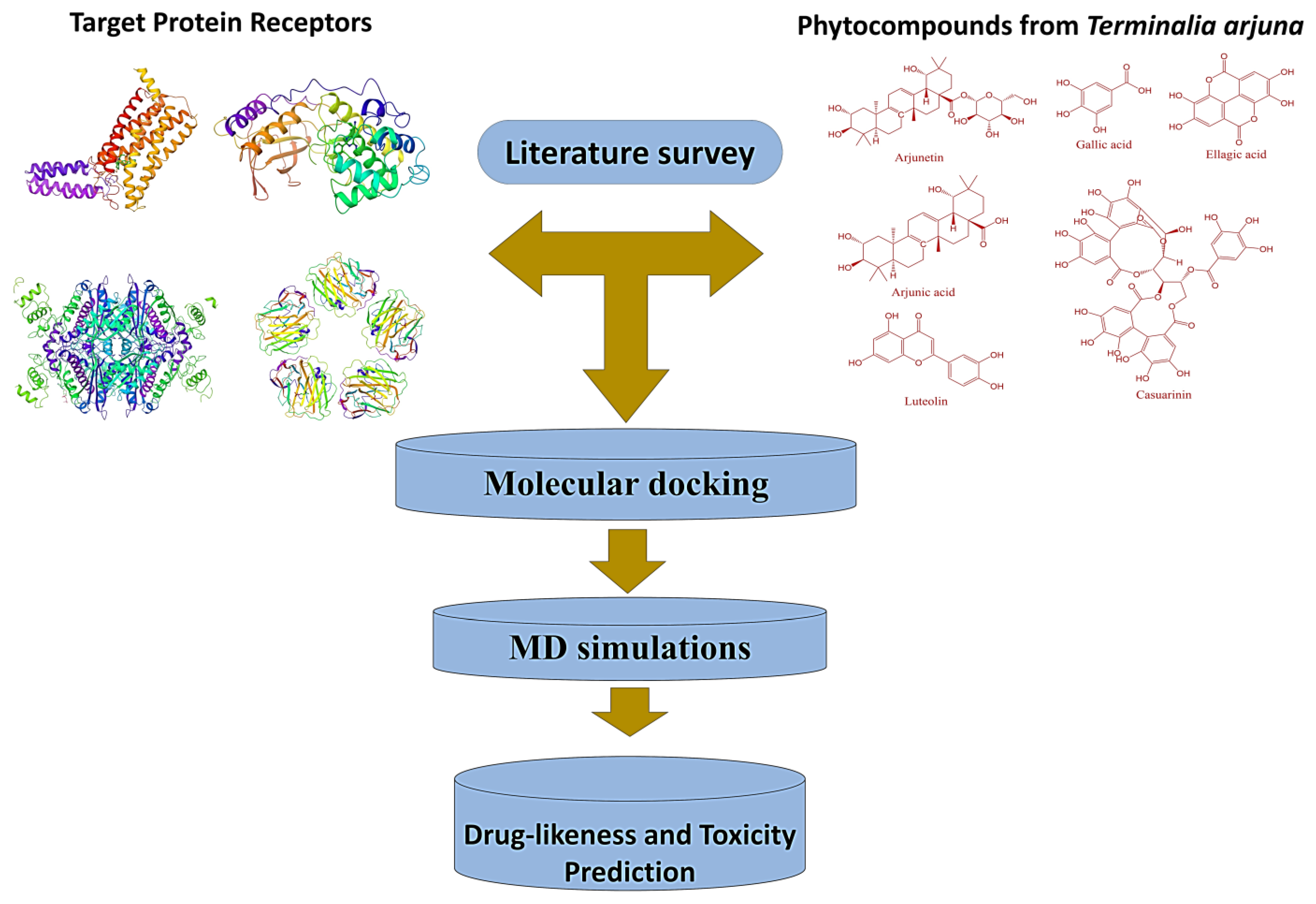 Molecules 28 01046 g007 Molecules 28 01046 g007