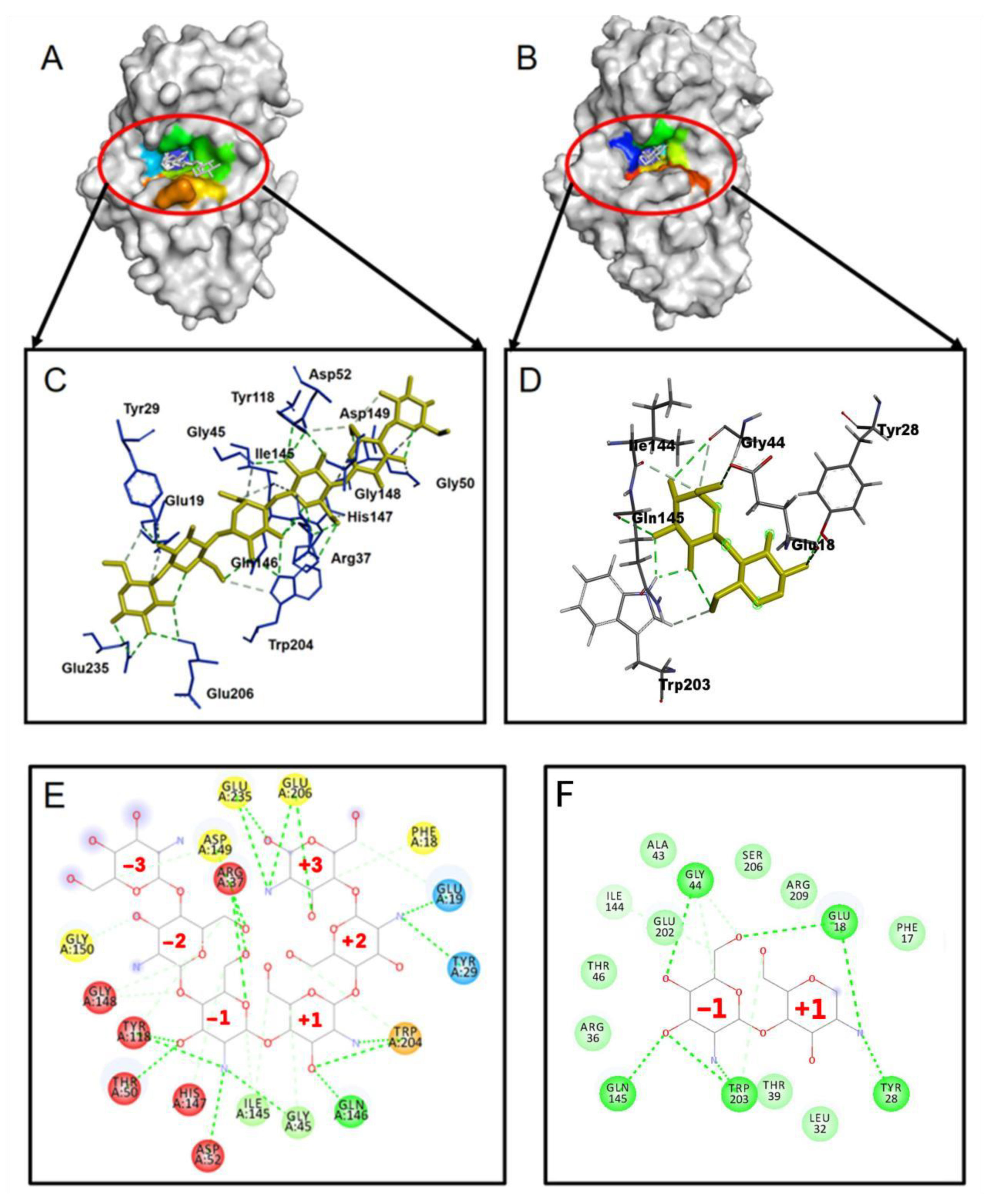 Molecules 28 01048 g001