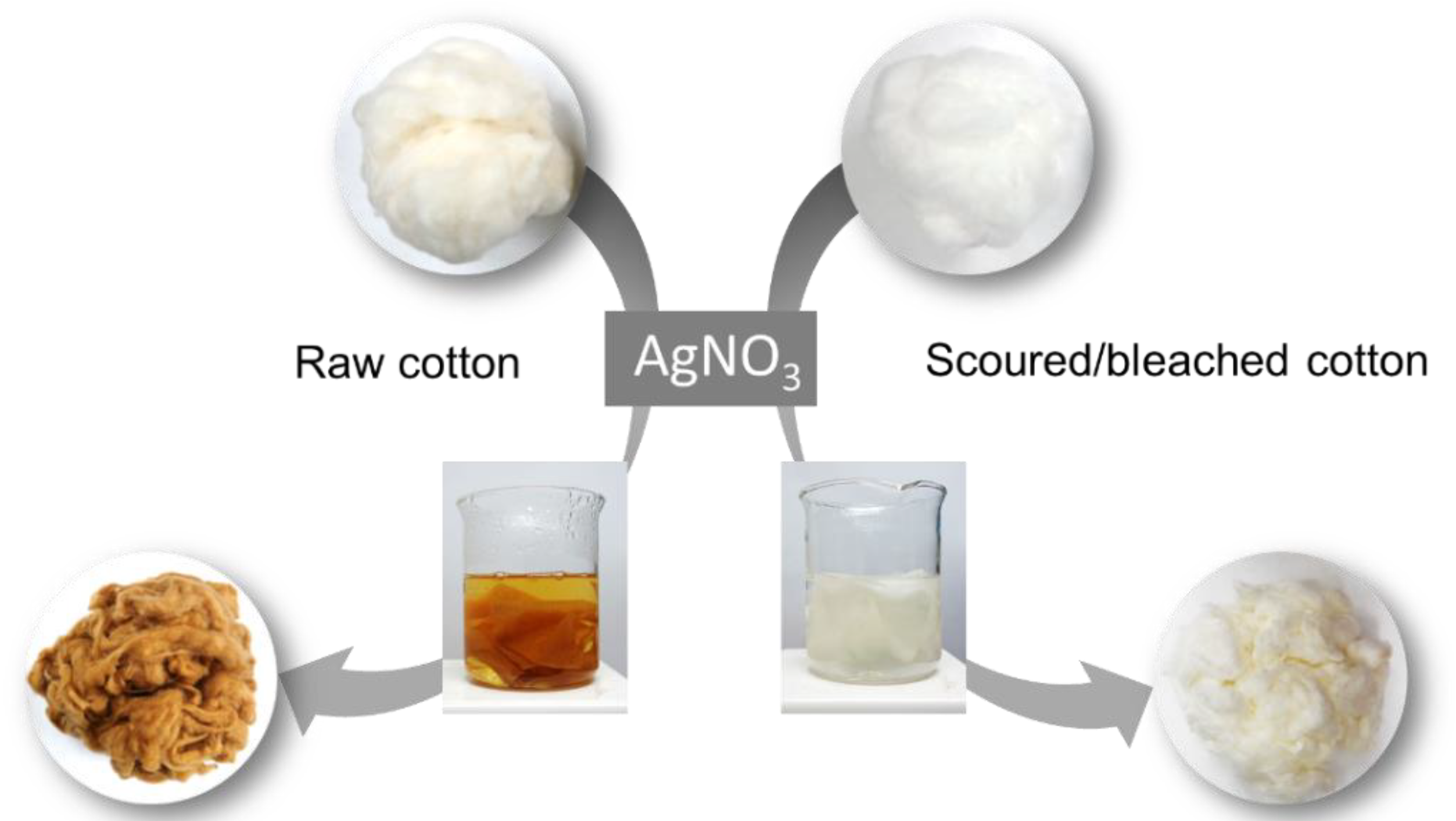 Molecules 28 01051 g001