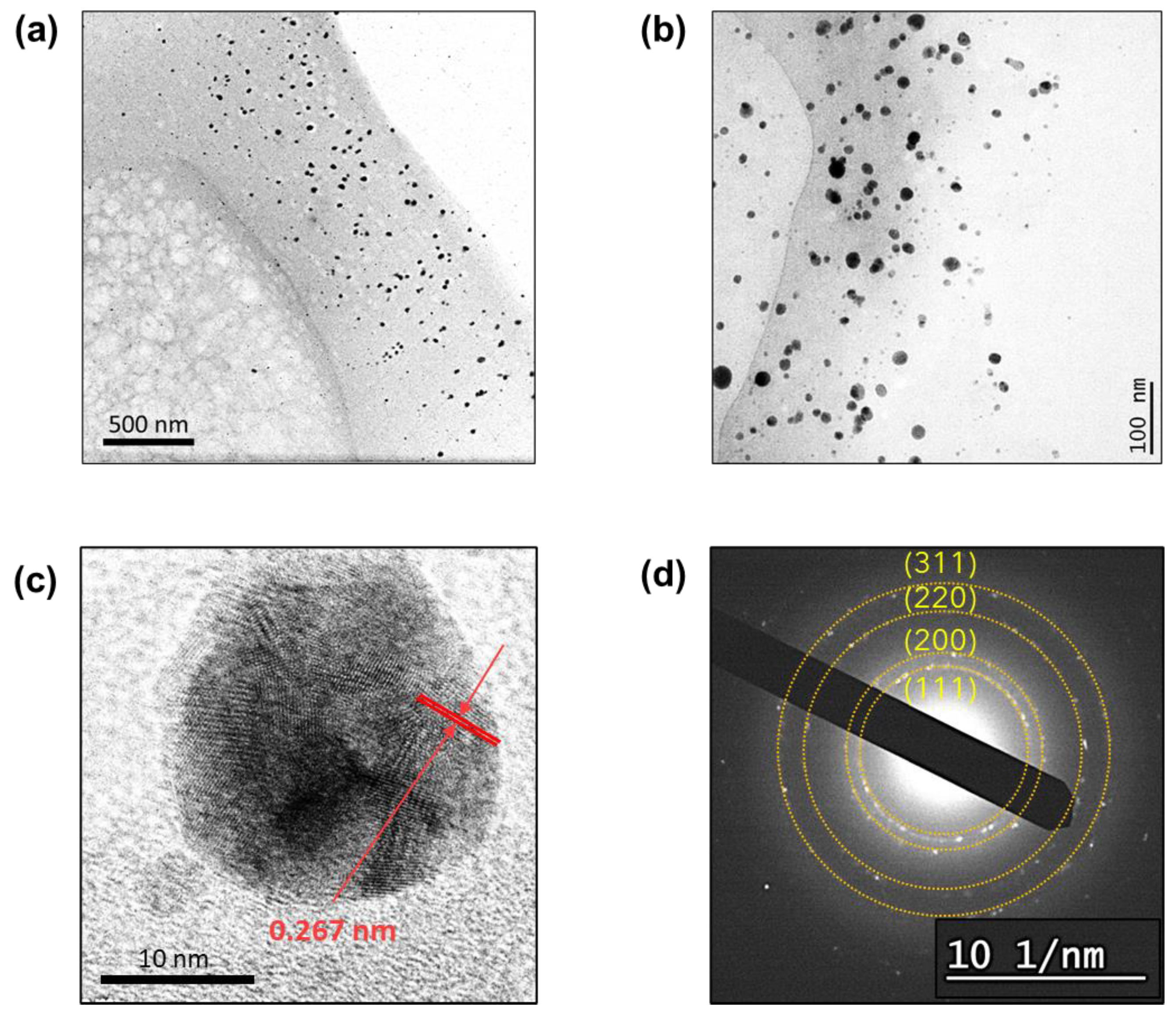 Molecules 28 01051 g002