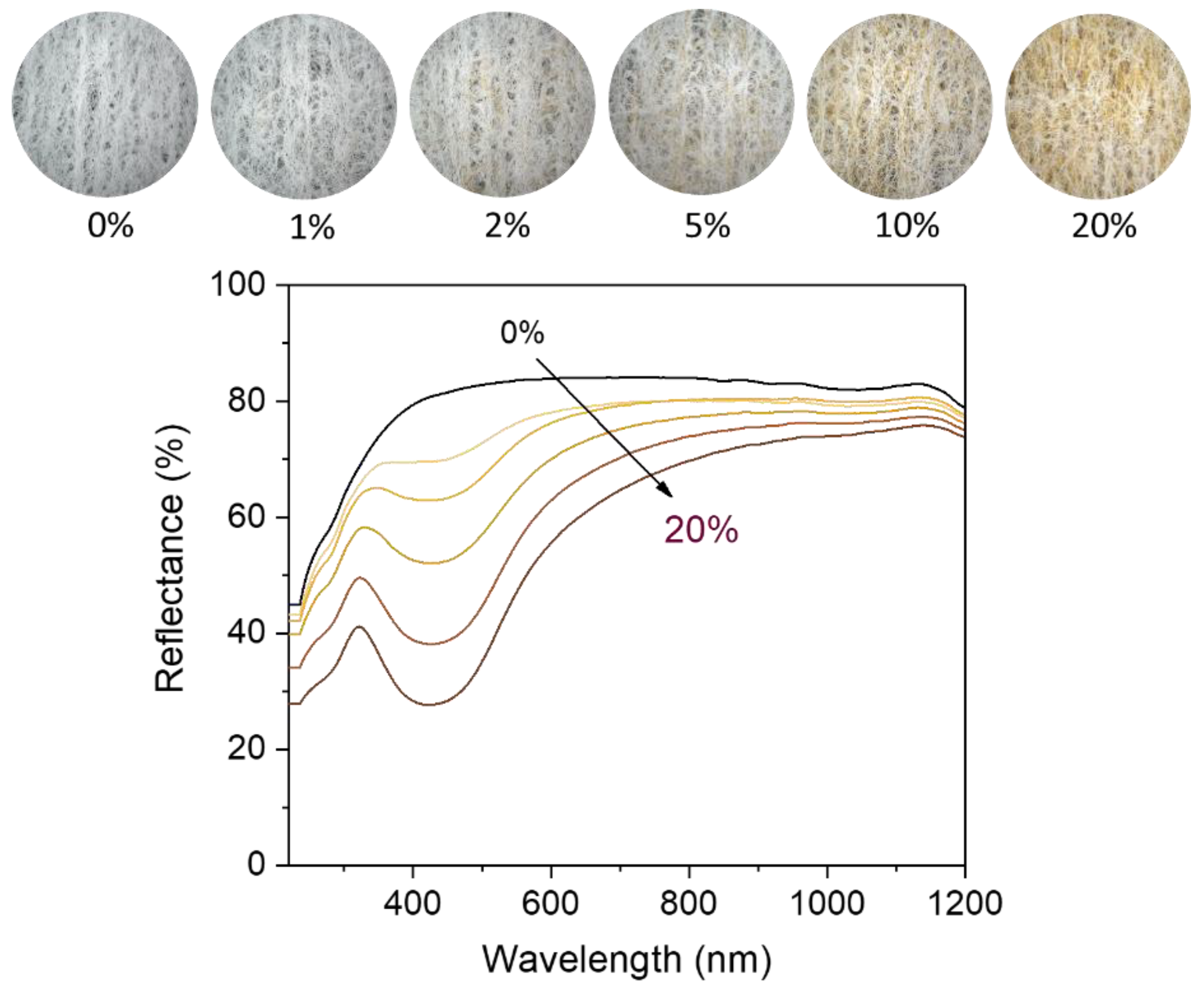 Molecules 28 01051 g004