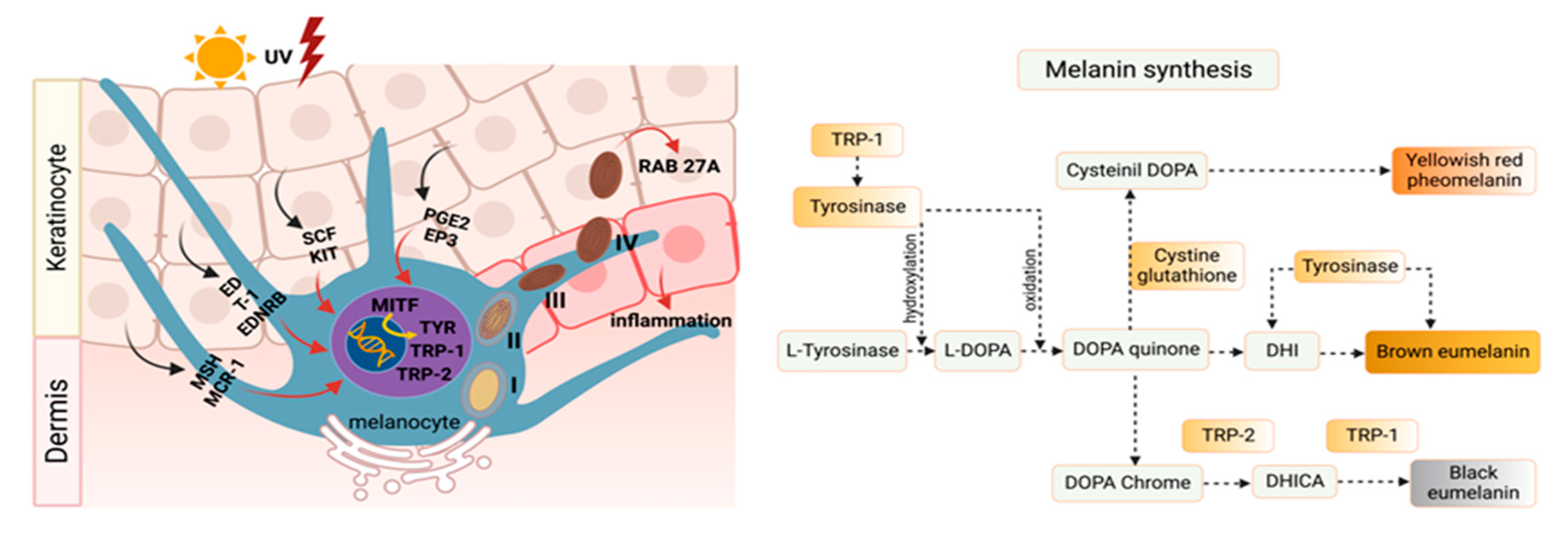 Molecules 28 01053 g001 Molecules 28 01053 g001