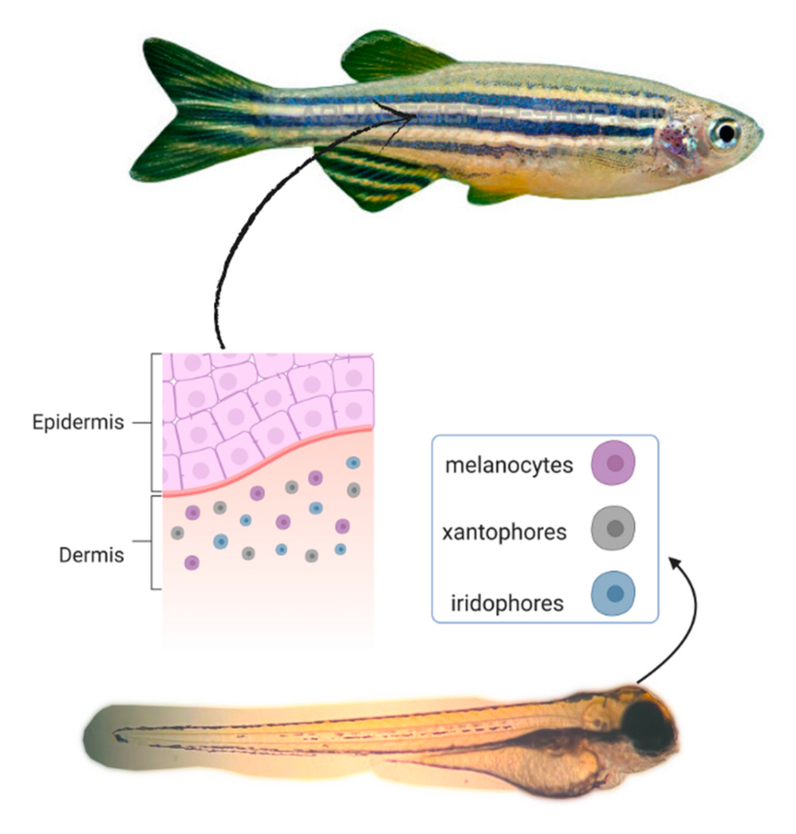 Molecules 28 01053 g002 Molecules 28 01053 g002
